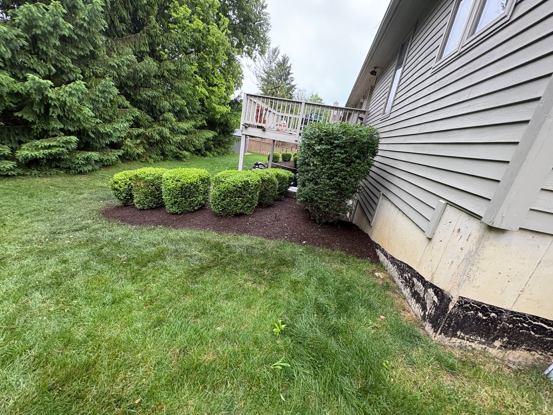 Gallery photos for Bed Cleanup, Shrub Trimming and Fresh Mulch in Bellefontaine: Image #6