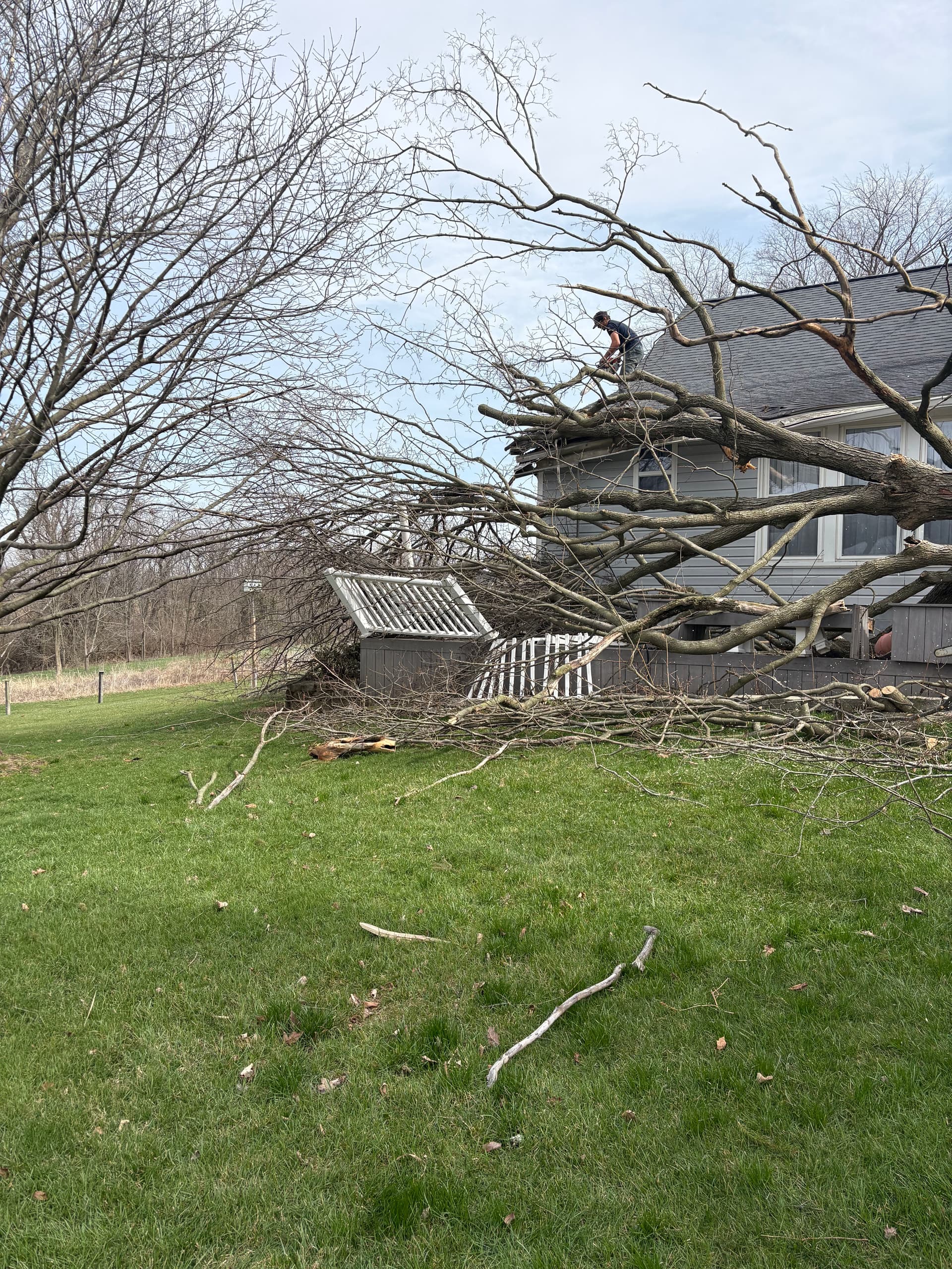 Gallery photos for Emergency Storm Tree Removal Across Champaign and Logan Counties: Image #7