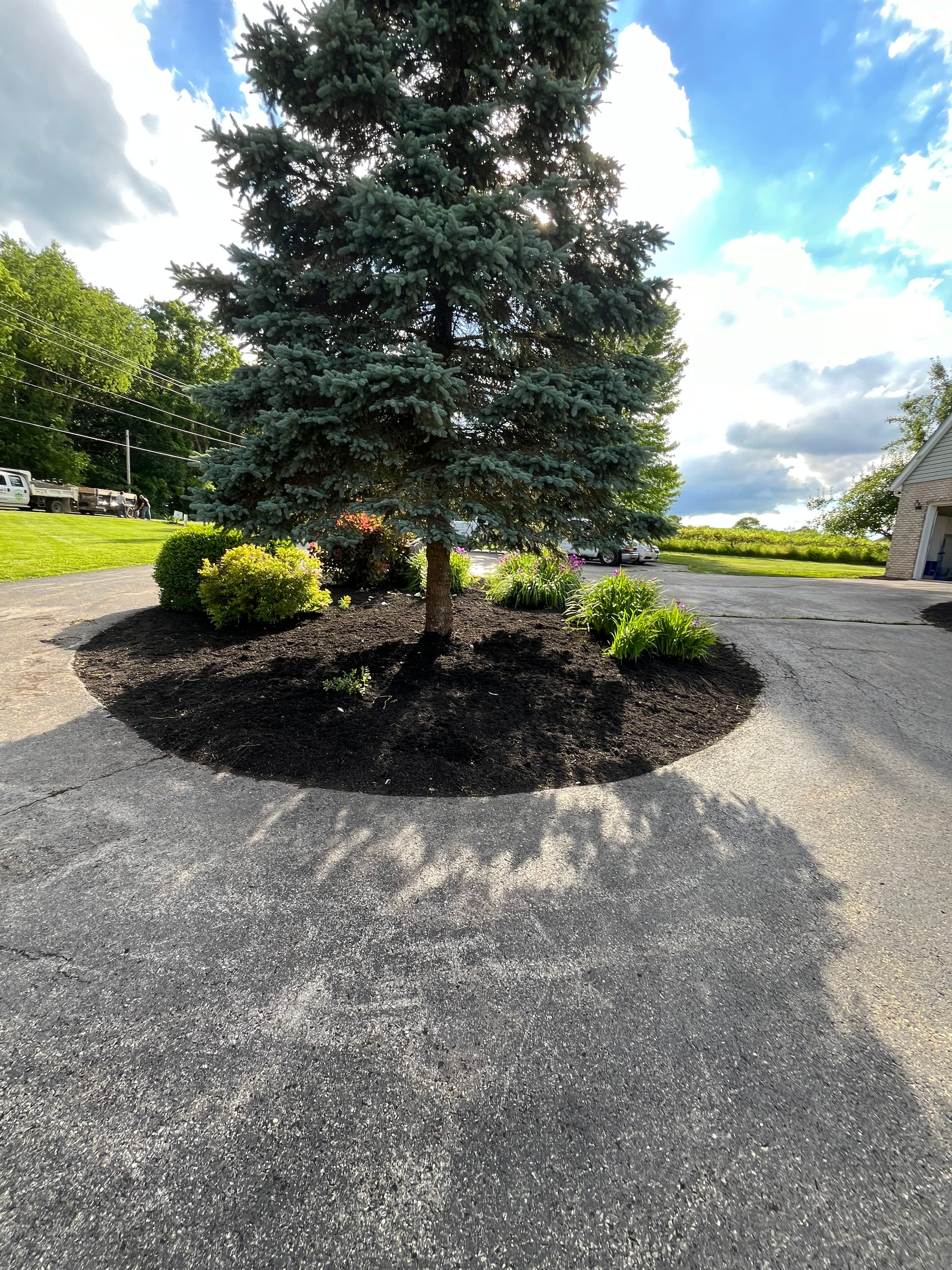 Project Landscaping Cleanup and Mulch Refresh in West Liberty image