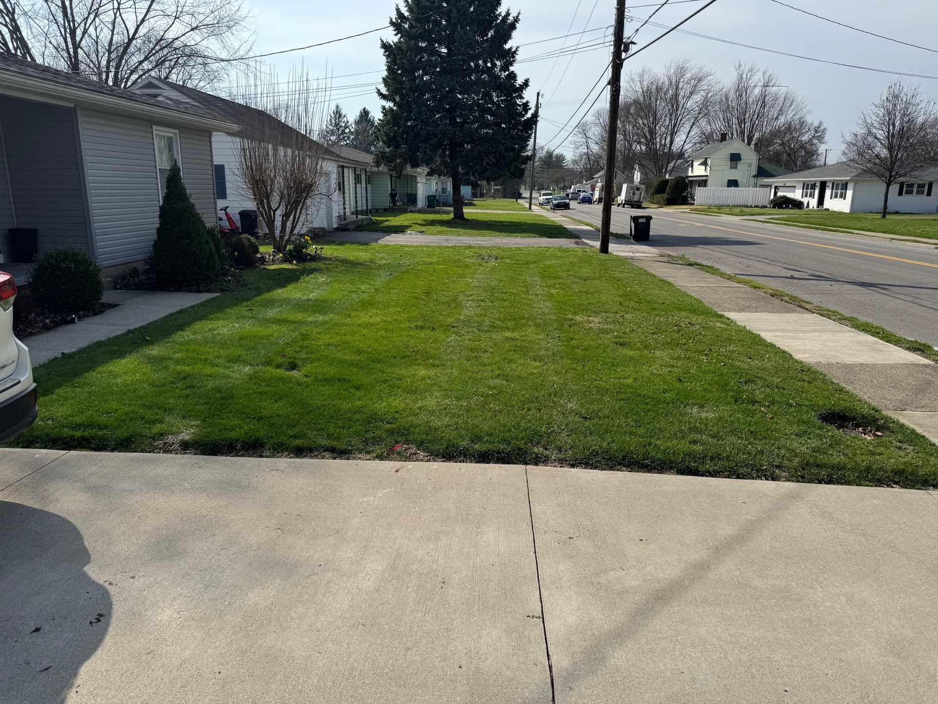 Gallery photos for Lawn Care Achievements: Stunning Stripes in Neighborhood Yards: Image #6