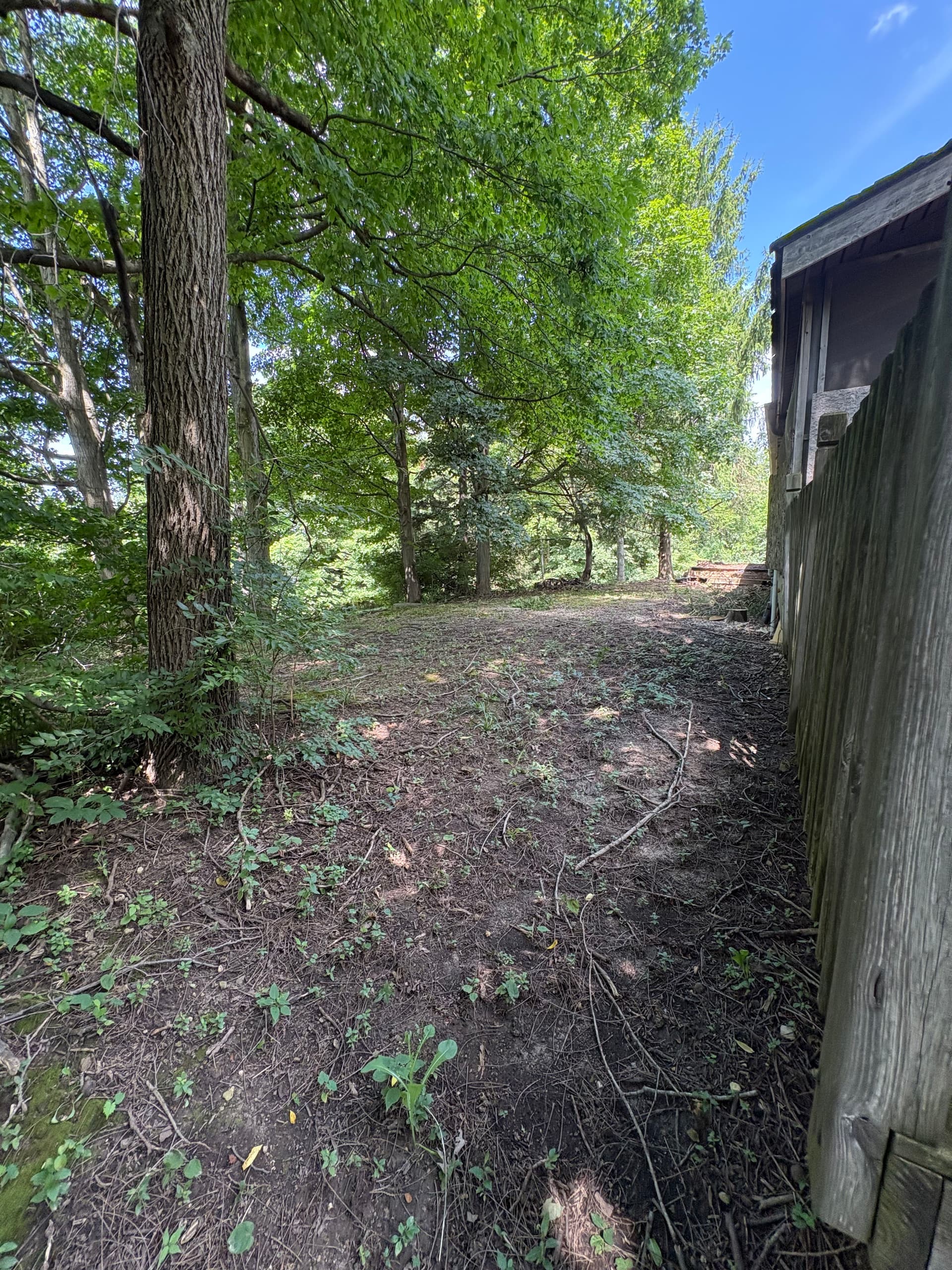 Gallery photos for Years of Overgrowth Cleared at This Bellfountain Property: Image #9