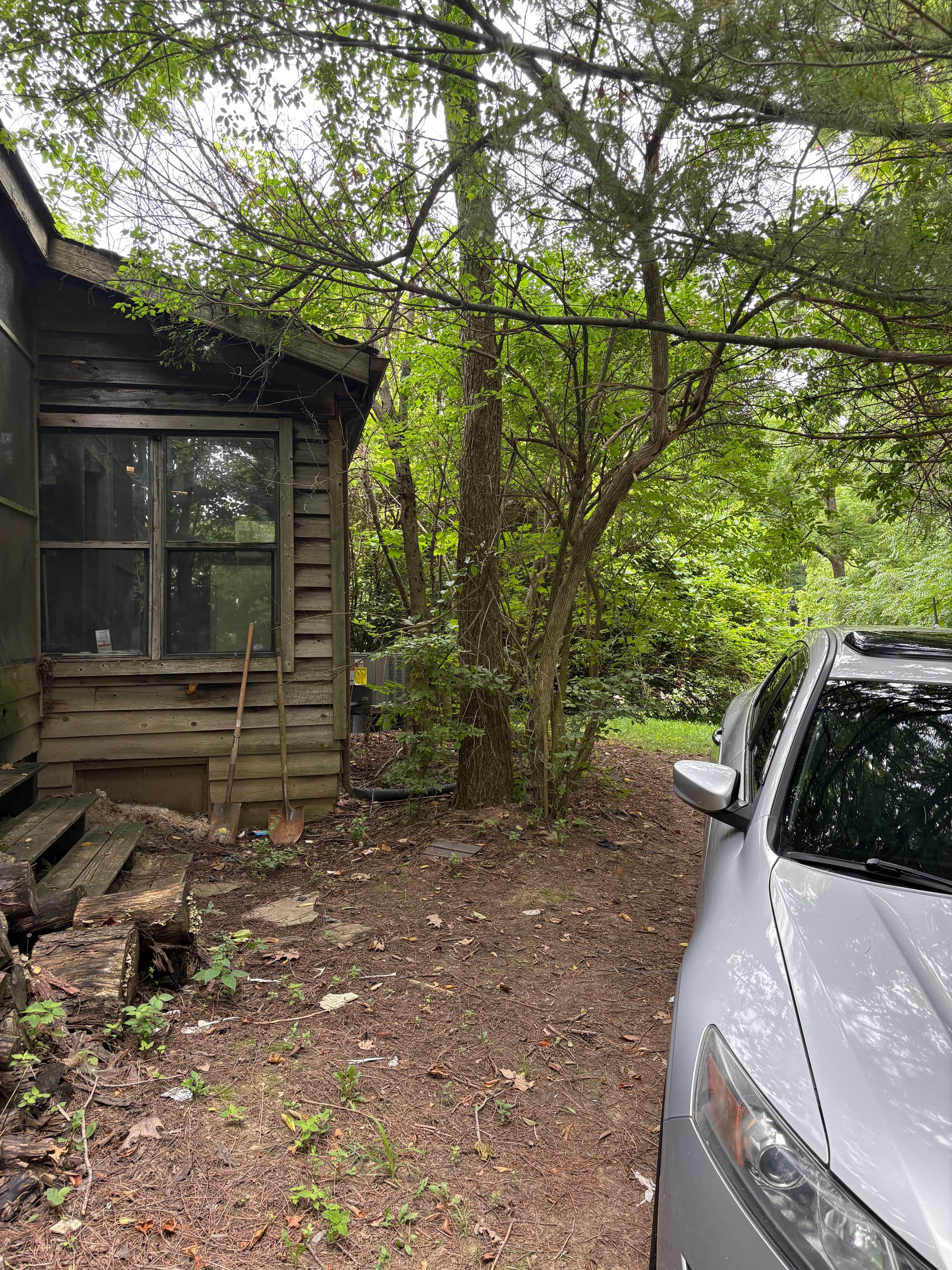 Years of Overgrowth Cleared at This Bellfountain Property image