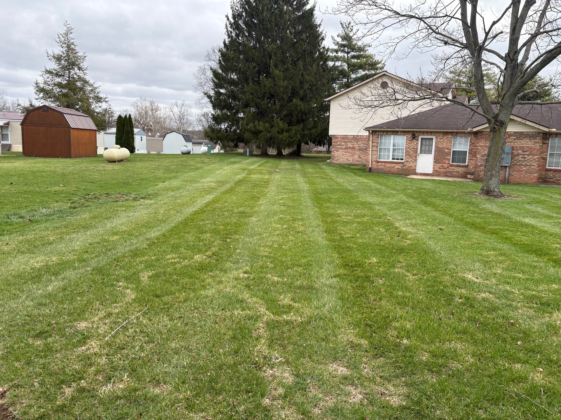 Gallery photos for Lawn Care Achievements: Stunning Stripes in Neighborhood Yards: Image #3