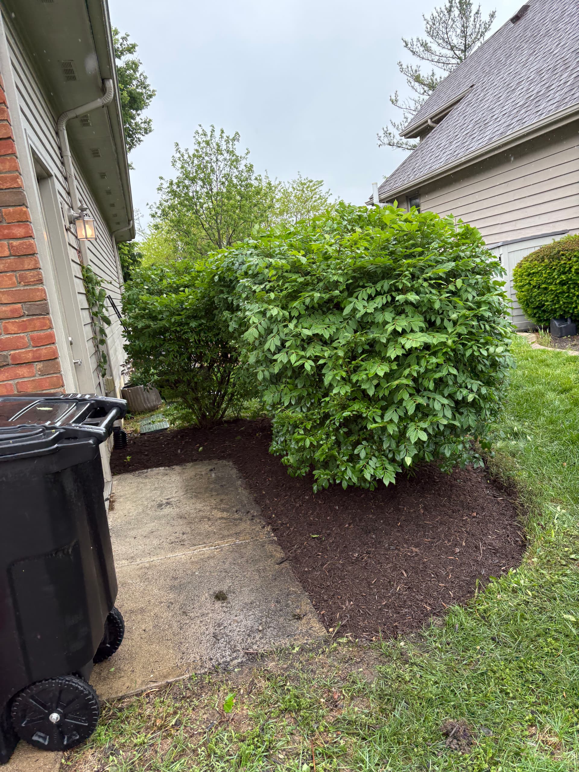 Gallery photos for Bed Cleanup, Shrub Trimming and Fresh Mulch in Bellefontaine: Image #9