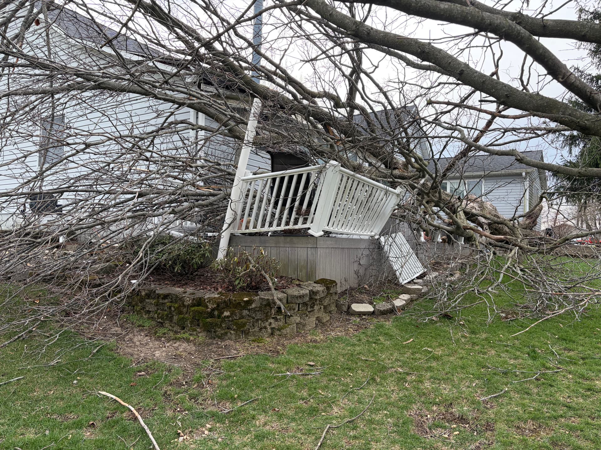 Swift and Safe Emergency Tree Removal Services