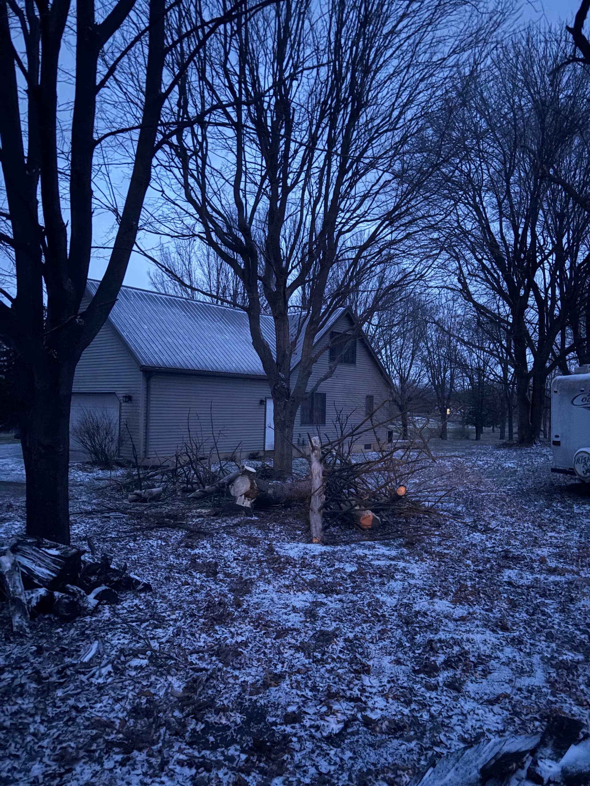 Gallery photos for Expert Tree Removal for Safe Bonfire Preparation: Image #5