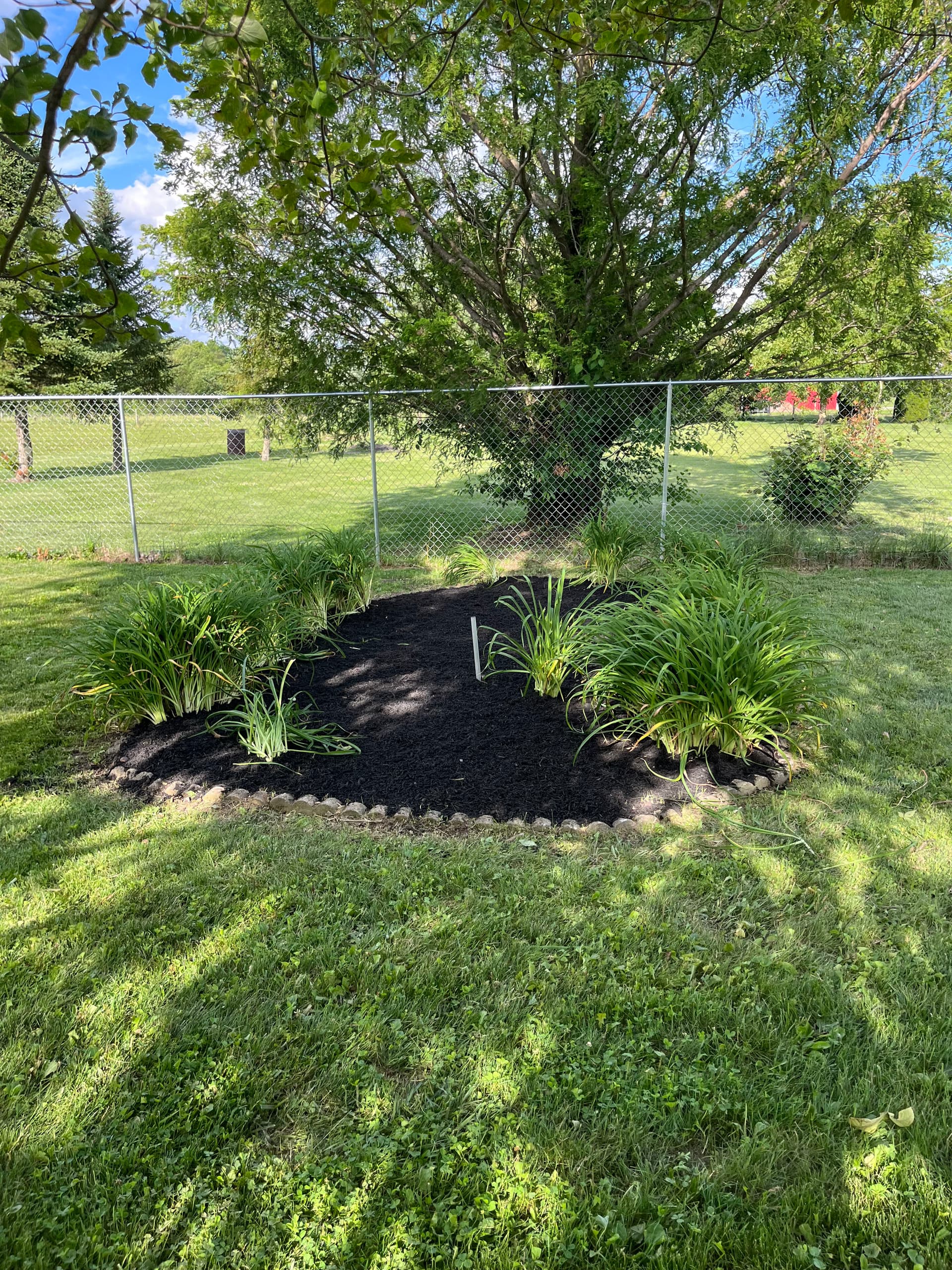 Gallery photos for Landscaping Cleanup and Mulch Refresh in West Liberty: Image #7