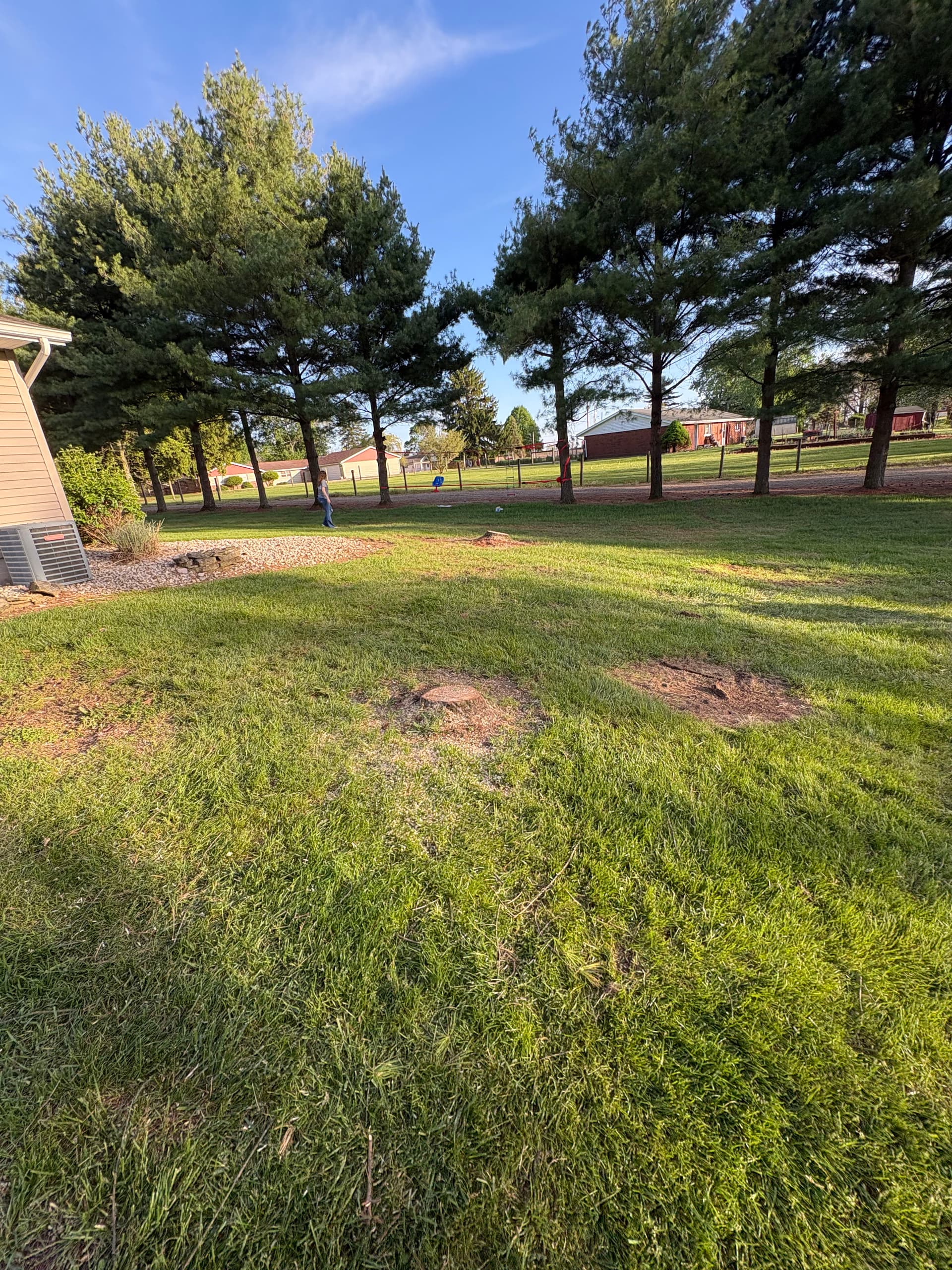 Gallery photos for Tree Removal, Pond Removal and Hardscape Work on a Big Property: Image #3