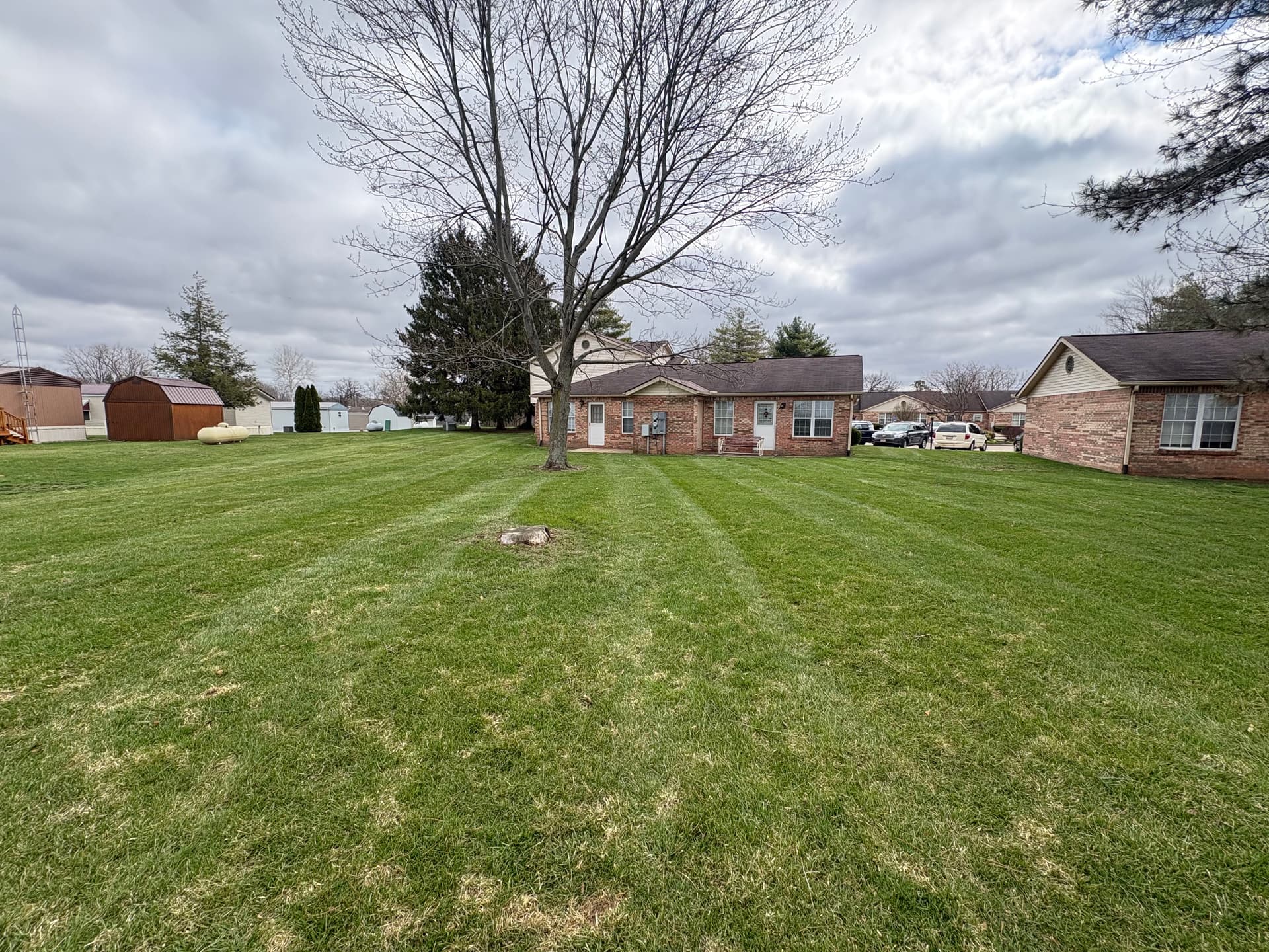 Gallery photos for Lawn Care Achievements: Stunning Stripes in Neighborhood Yards: Image #4
