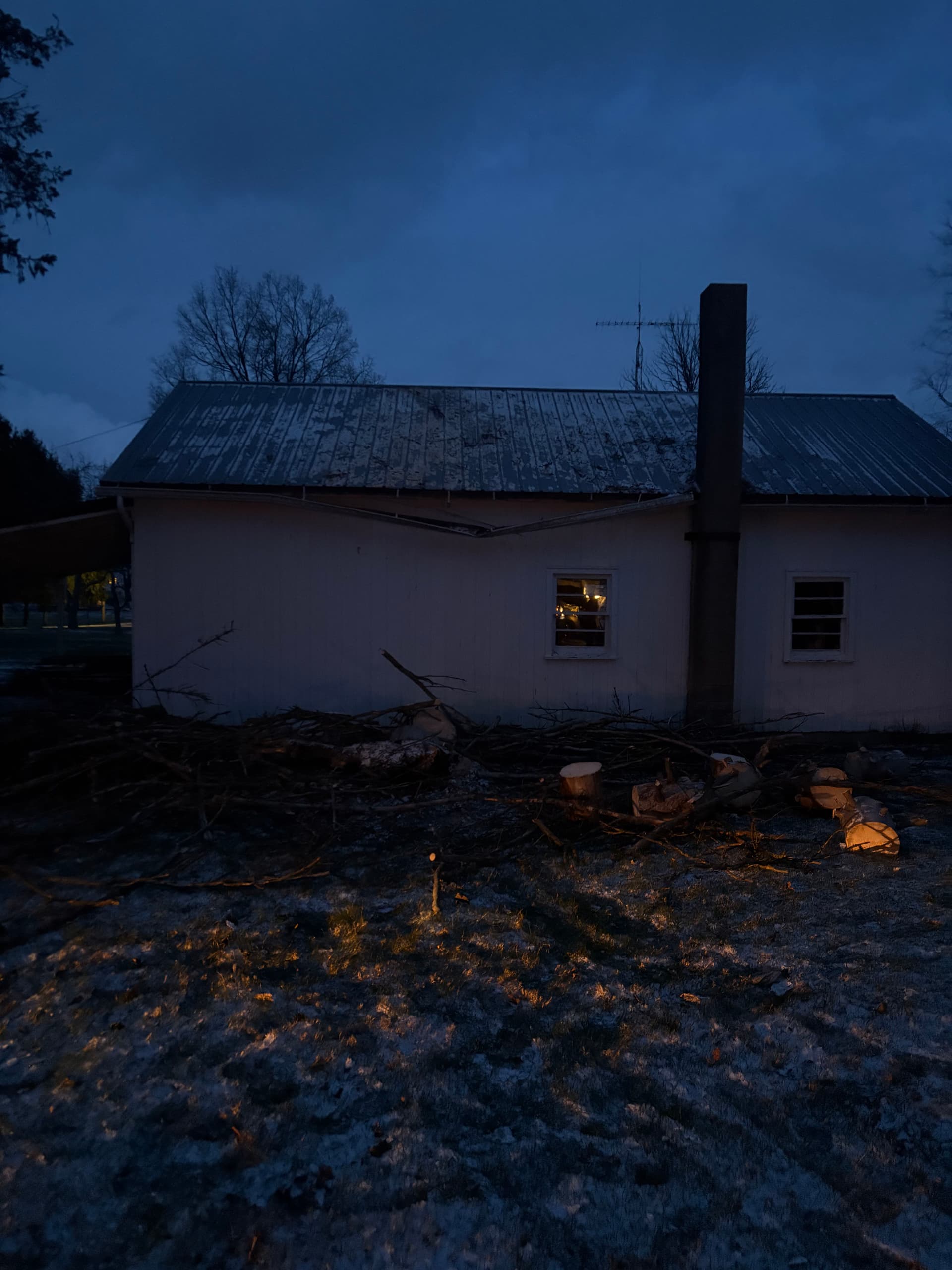 Expert Tree Removal for Safe Bonfire Preparation