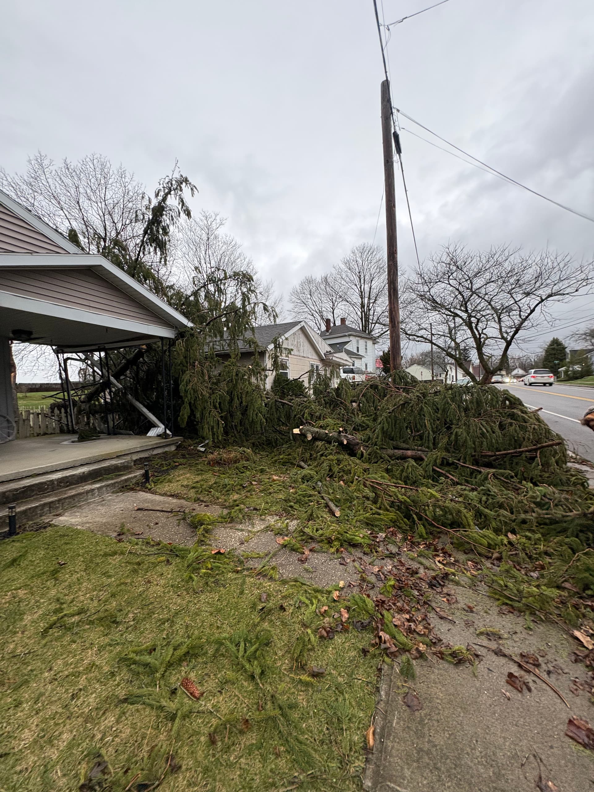 Swift Fallen Tree Cleanup After Storm