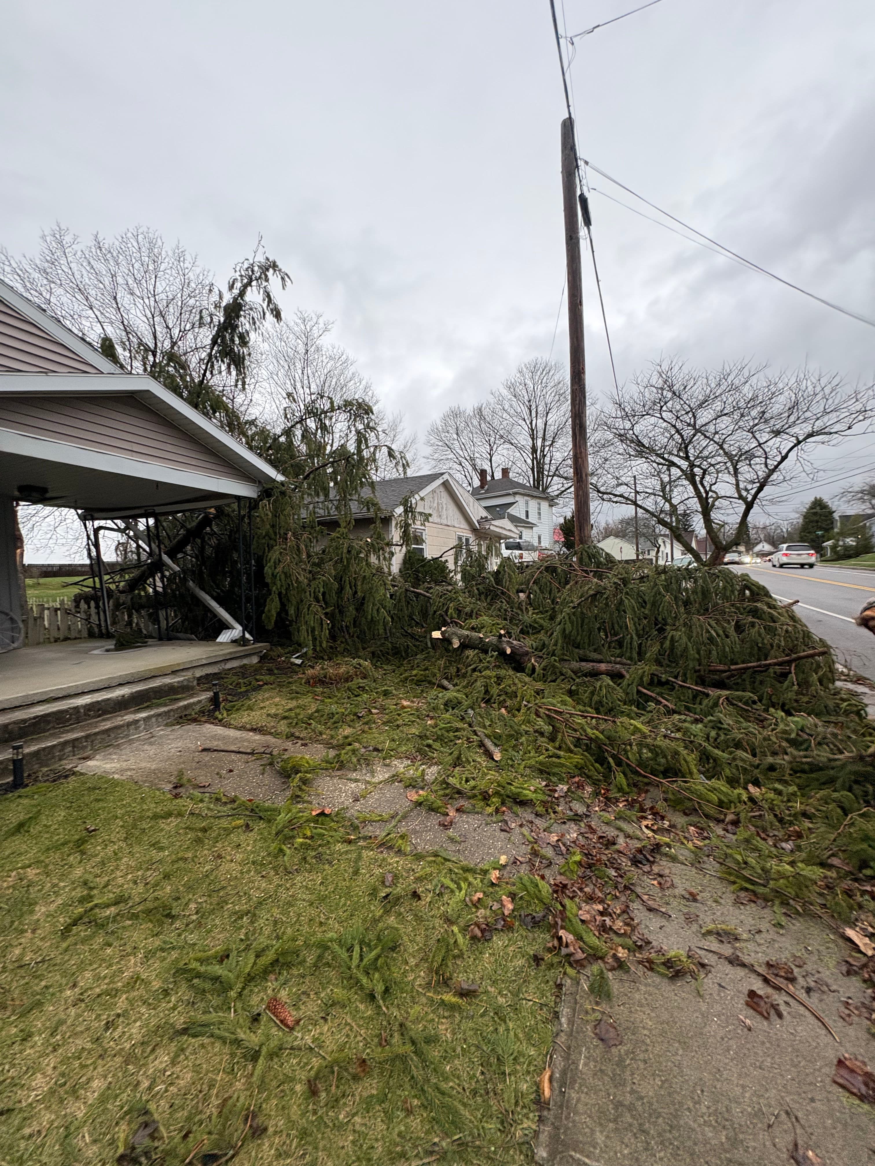 Project Swift Fallen Tree Cleanup After Storm image
