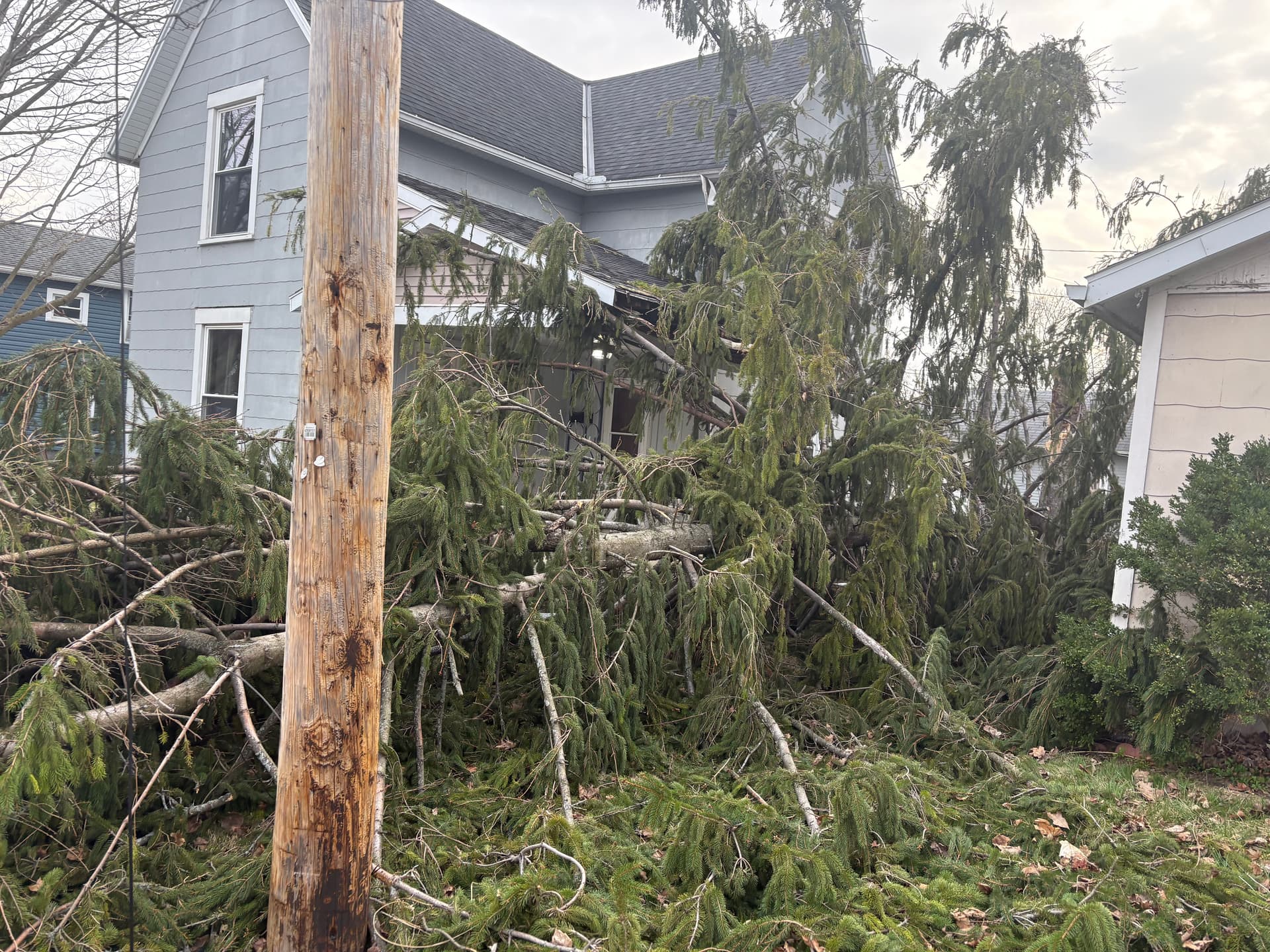 Gallery photos for Emergency Storm Tree Removal Across Champaign and Logan Counties: Image #6