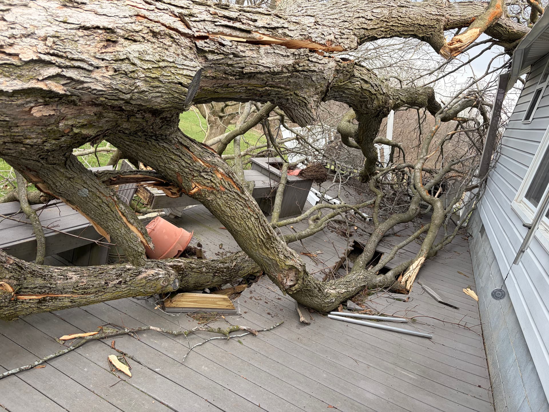 Gallery photos for Swift and Safe Emergency Tree Removal Services: Image #1