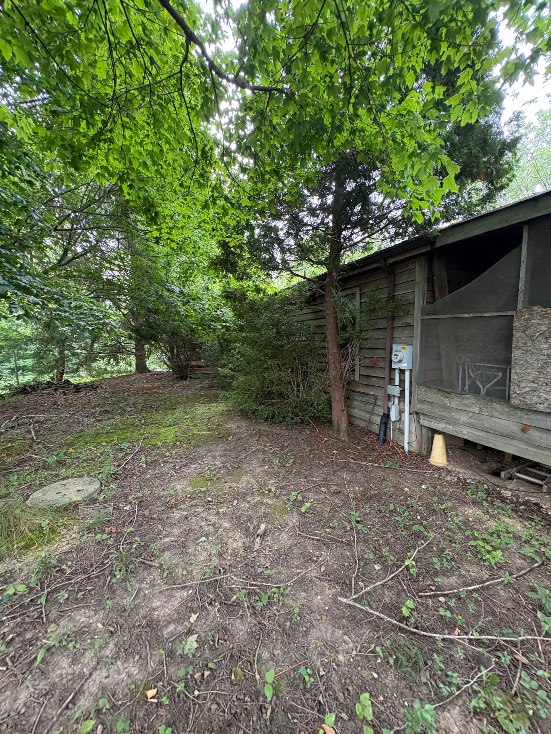 Gallery photos for Years of Overgrowth Cleared at This Bellfountain Property: Image #2