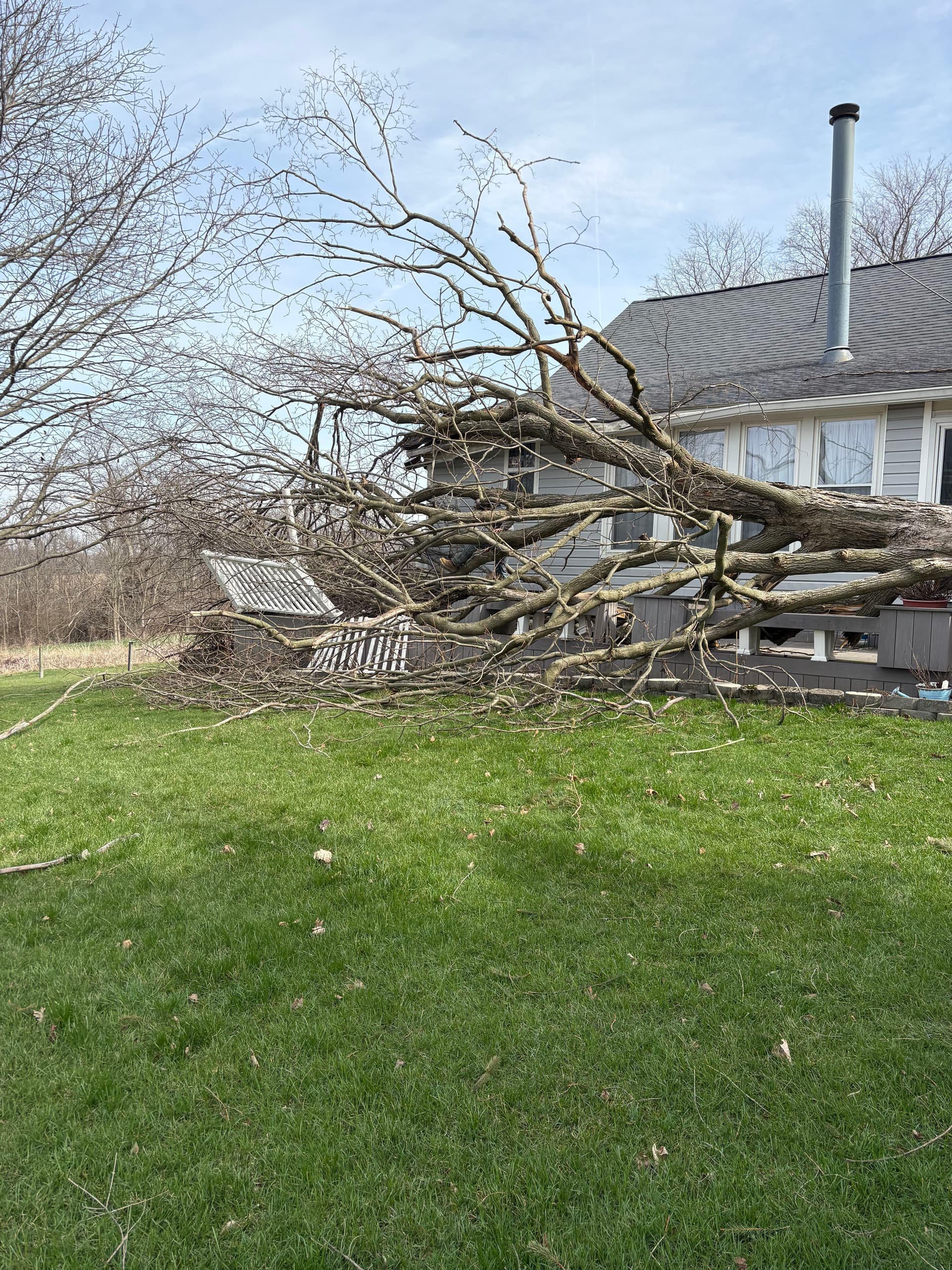 Gallery photos for Swift and Safe Emergency Tree Removal Services: Image #2