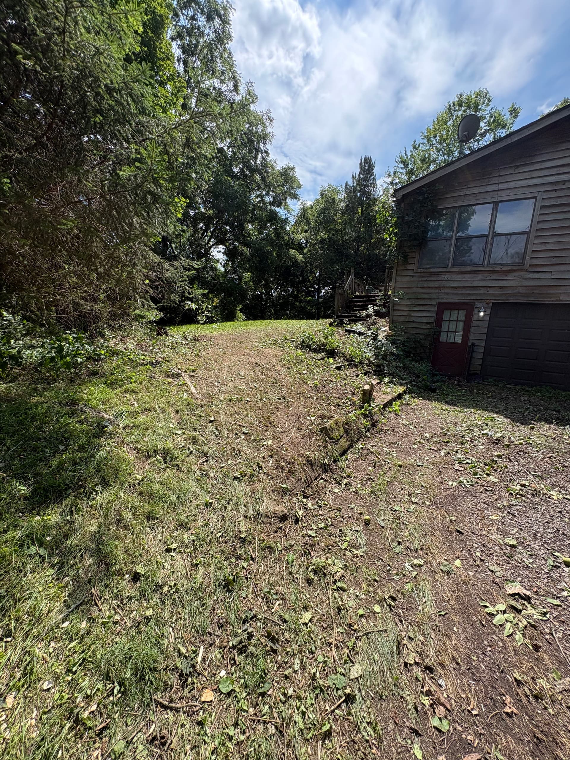Gallery photos for Years of Overgrowth Cleared at This Bellfountain Property: Image #7