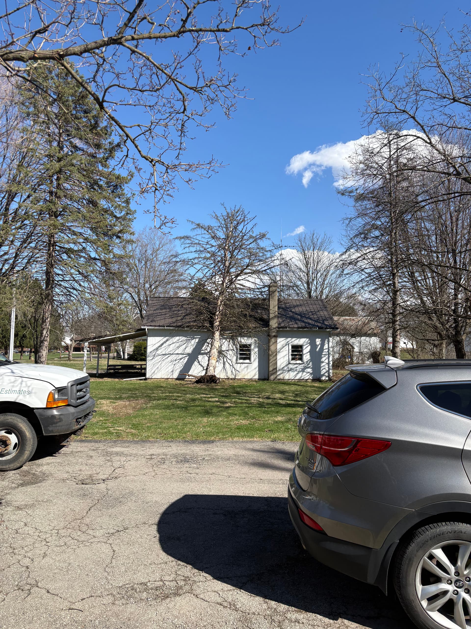 Expert Tree Removal for Safe Bonfire Preparation