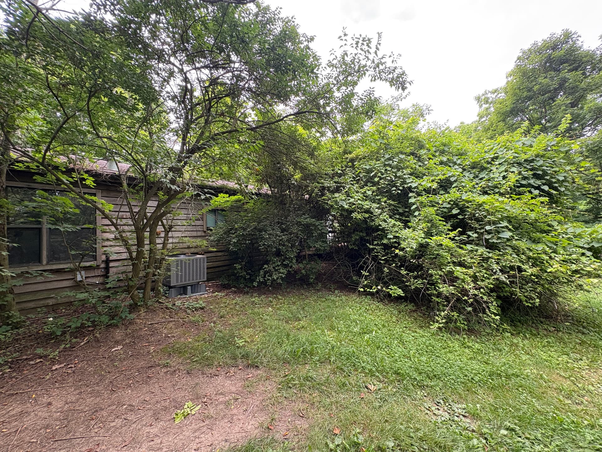 Gallery photos for Years of Overgrowth Cleared at This Bellfountain Property: Image #5