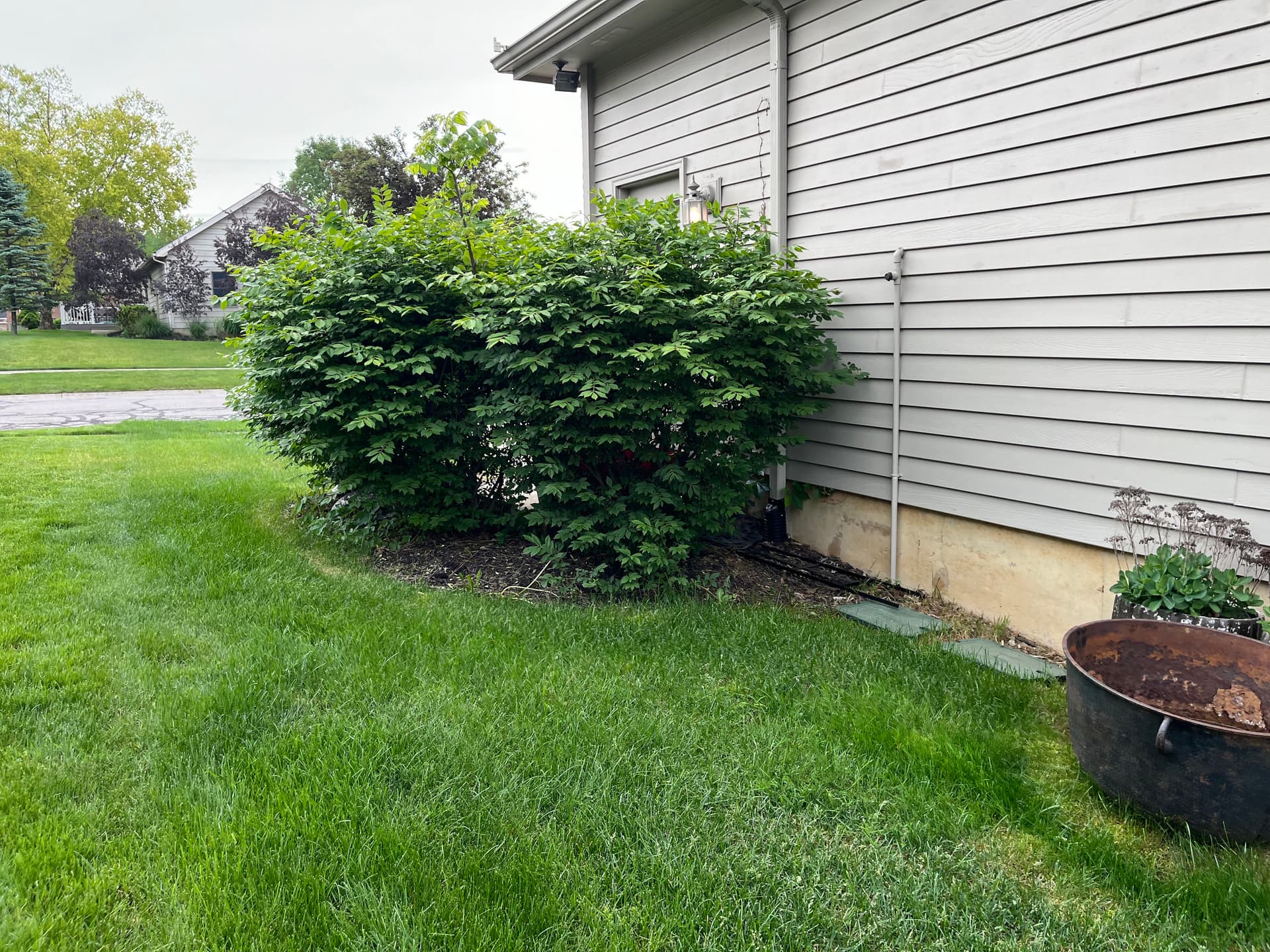 Gallery photos for Bed Cleanup, Shrub Trimming and Fresh Mulch in Bellefontaine: Image #3