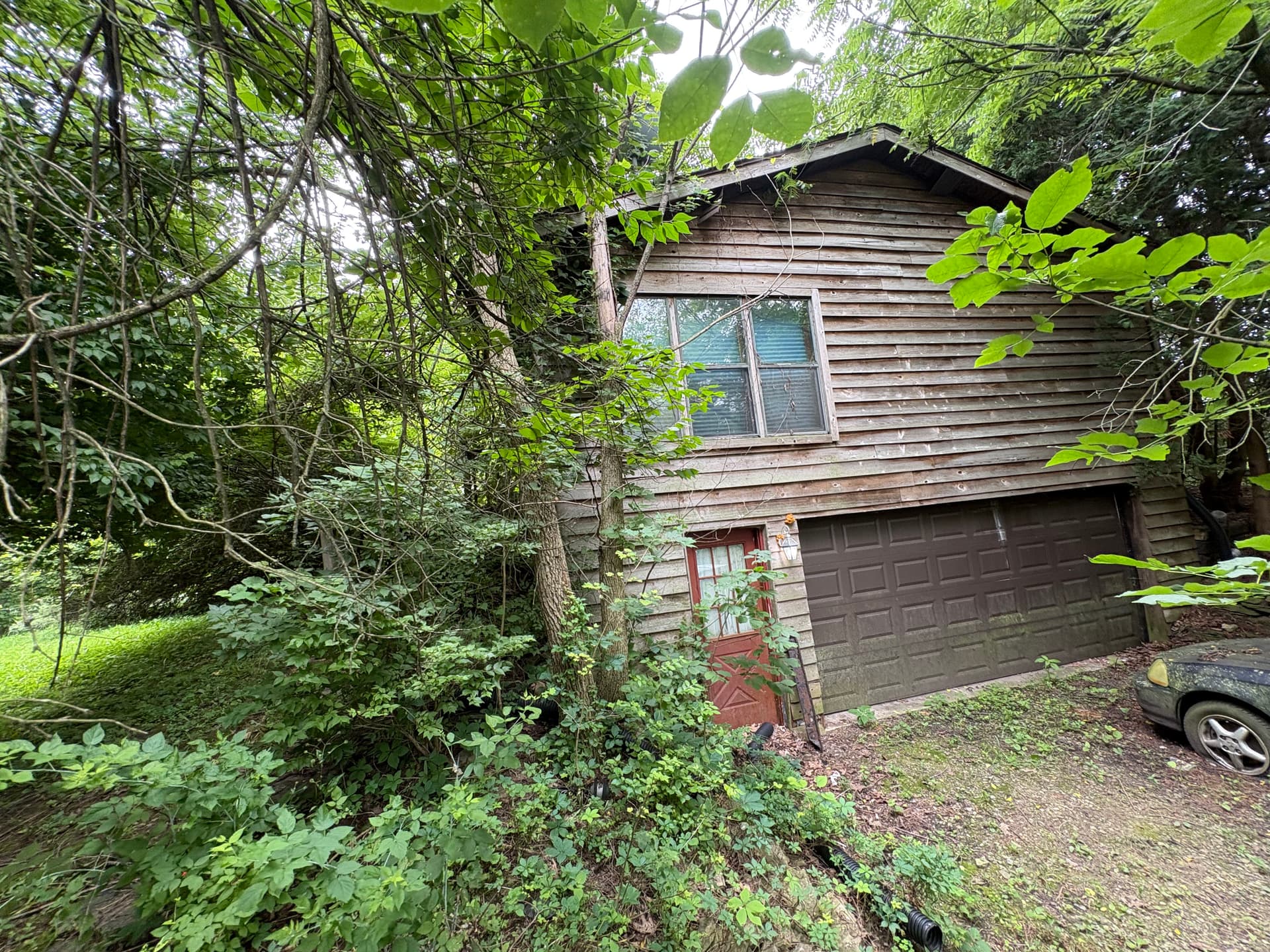 Gallery photos for Years of Overgrowth Cleared at This Bellfountain Property: Image #4