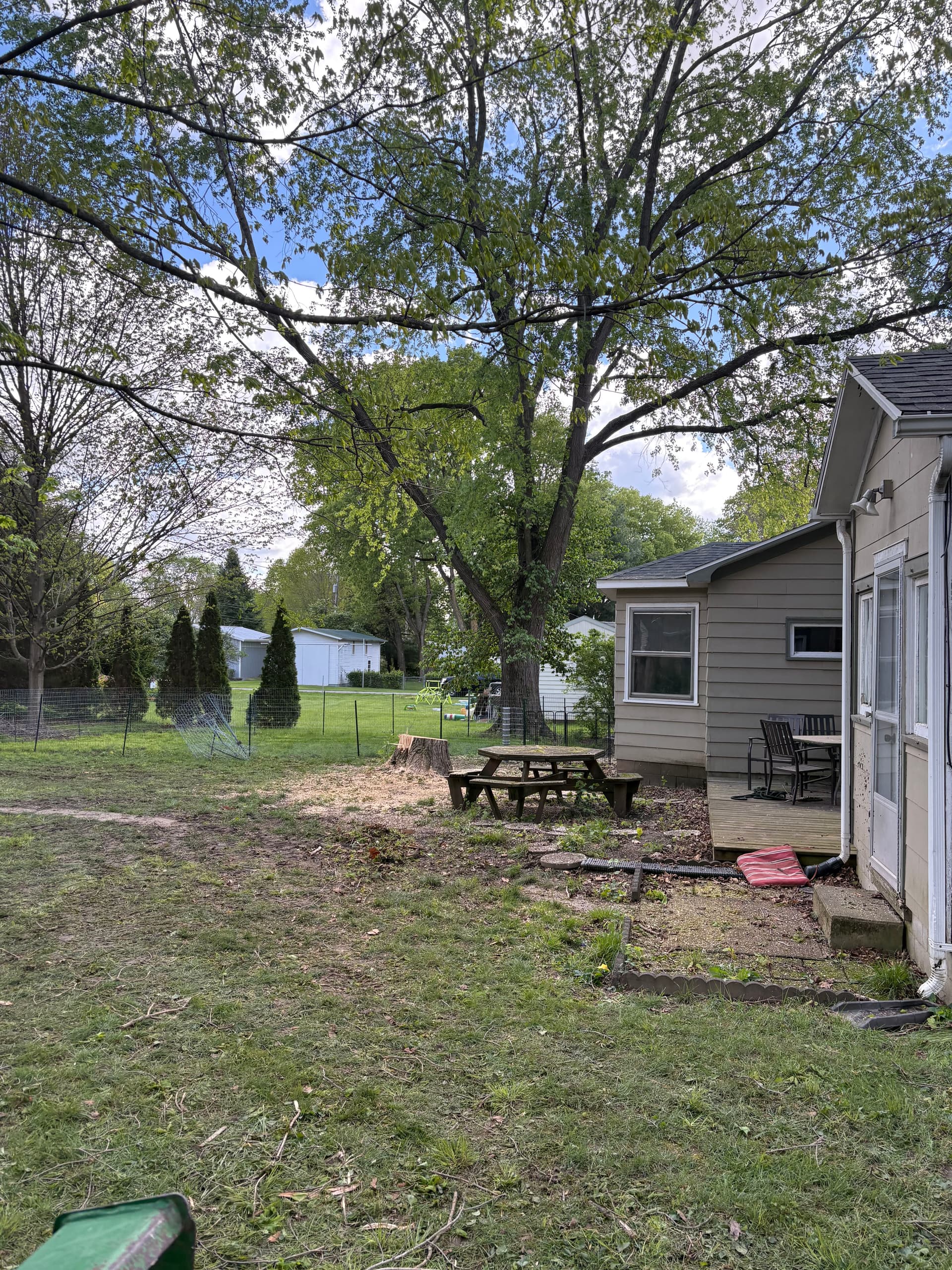 Gallery photos for Tree Removal and Drainage Work in West Liberty: Image #4