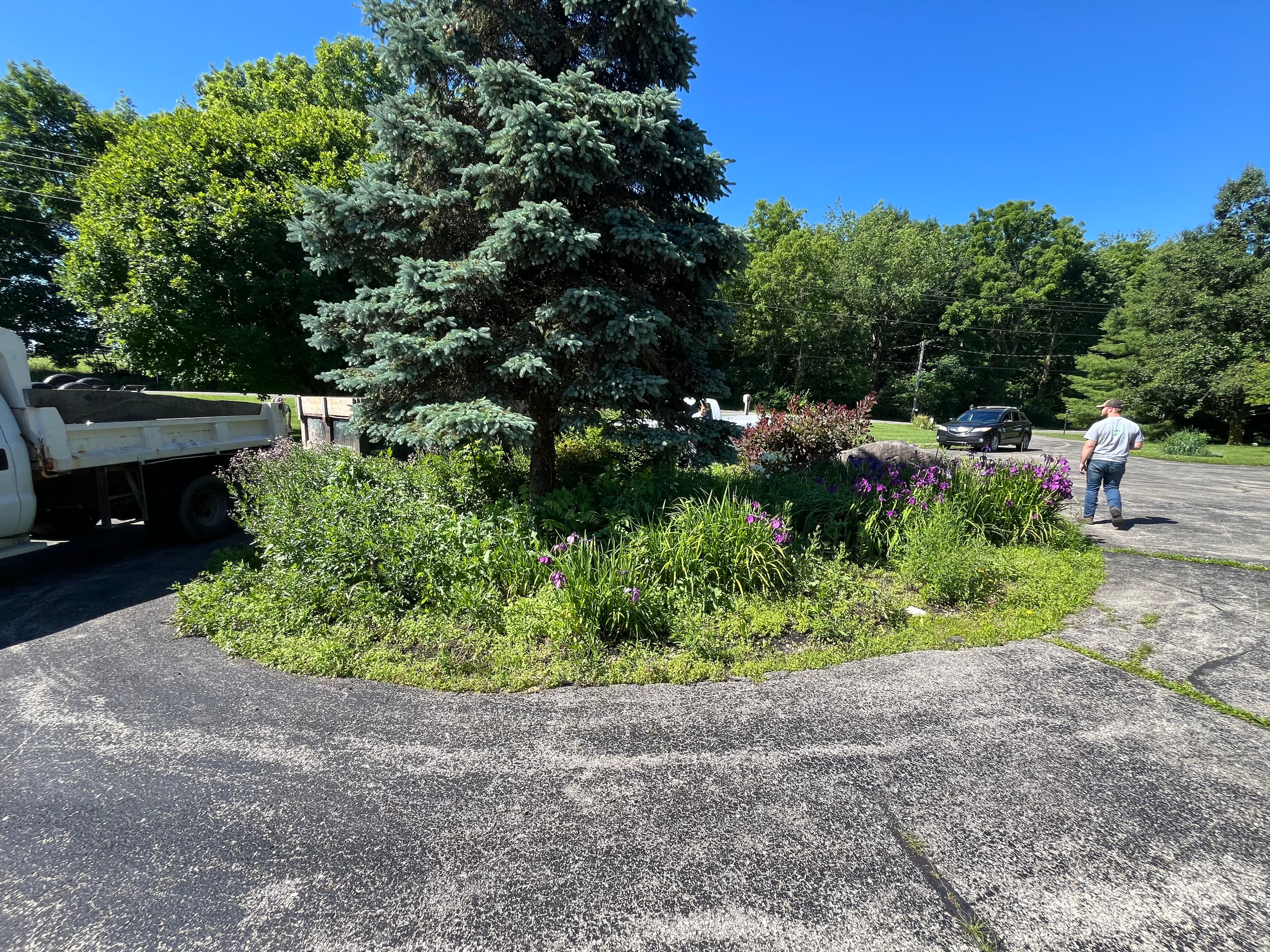 Project West Liberty Landscaping Cleanup in Progress image