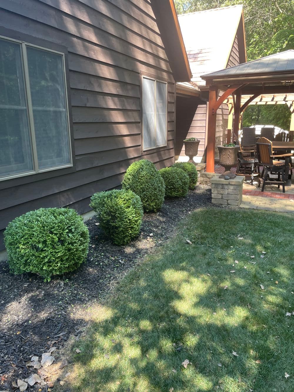Lush round shrubs line a home’s exterior, enhancing the garden's green landscape.