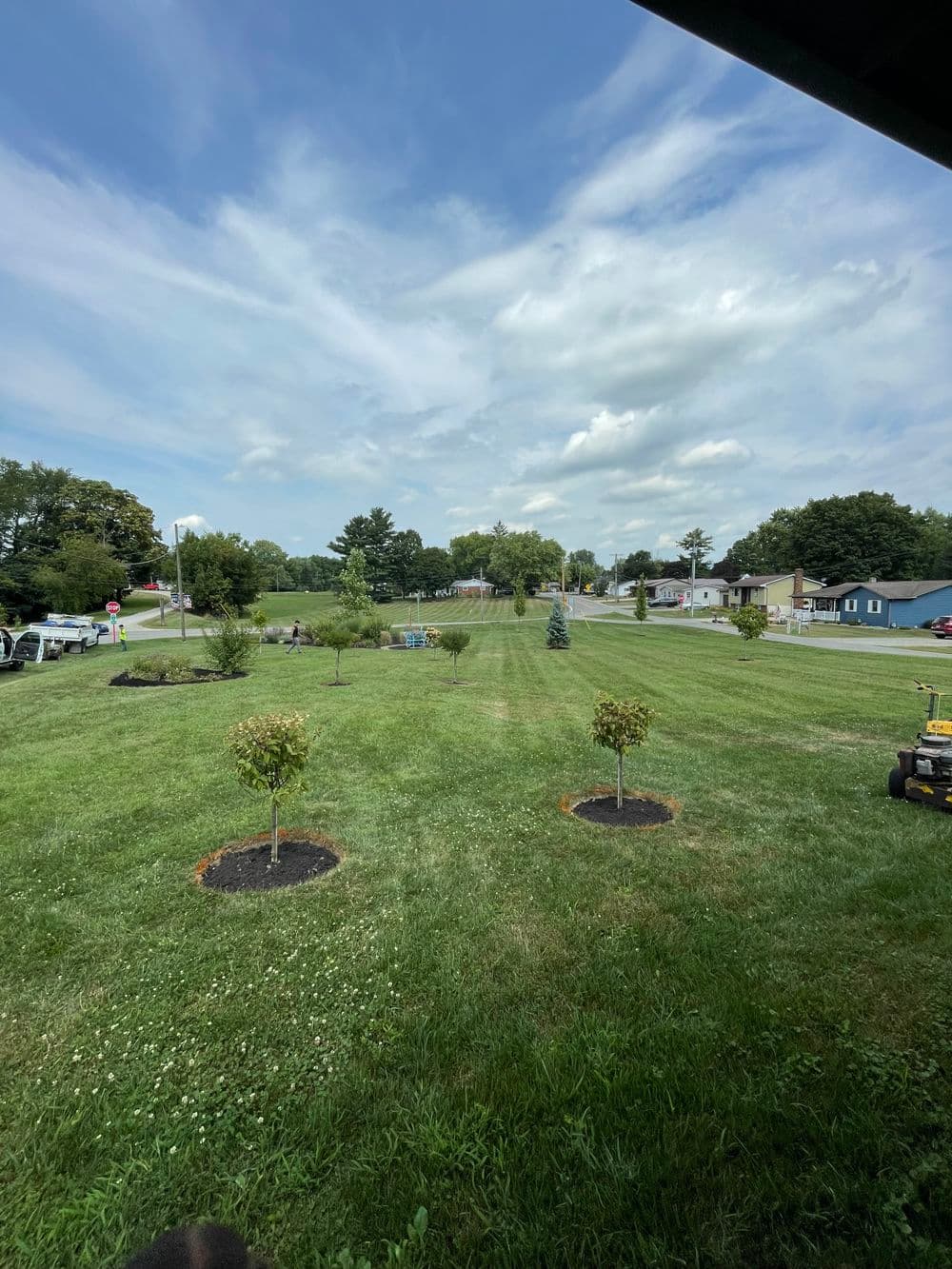 Lush green lawn with young trees under a partly cloudy sky in a residential area.