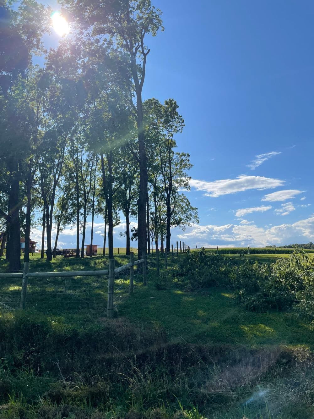 Lush green landscape with trees, blue sky, and distant farmland under sunlight.