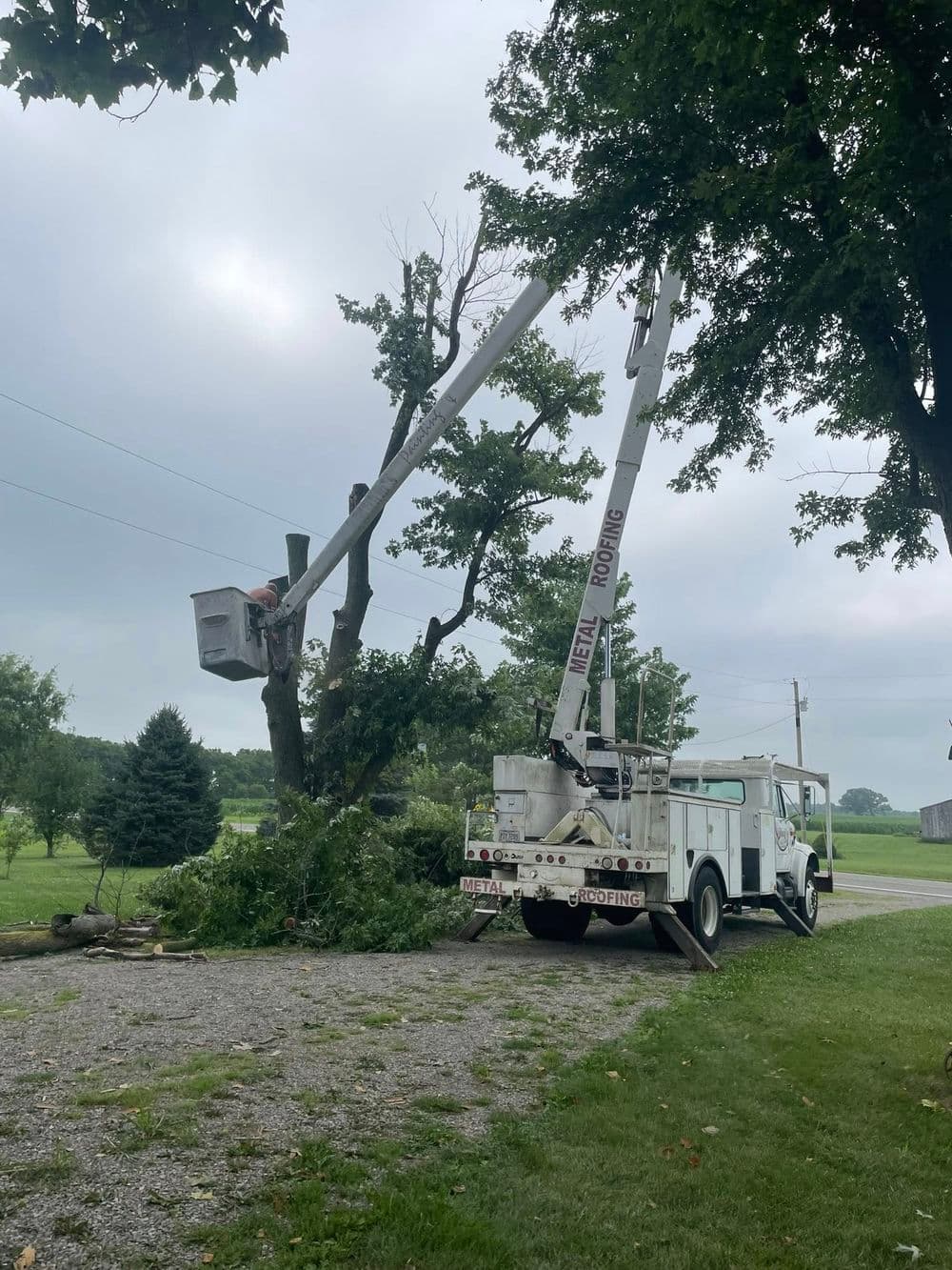 Tree trimming service using a bucket truck next to a residential property.