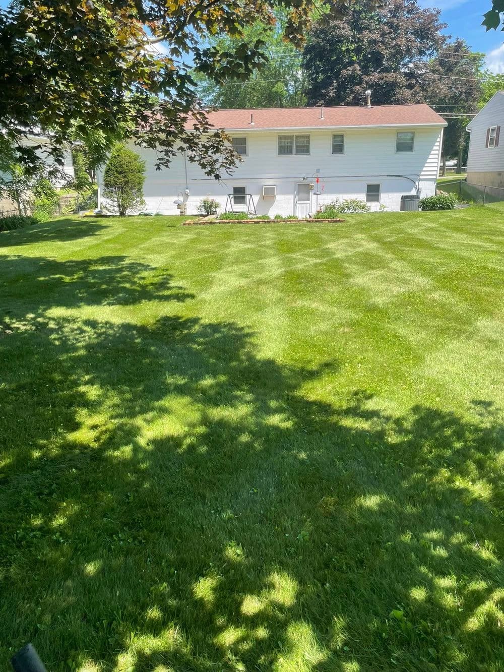 Well-maintained backyard with striped green lawn and white house in the background.