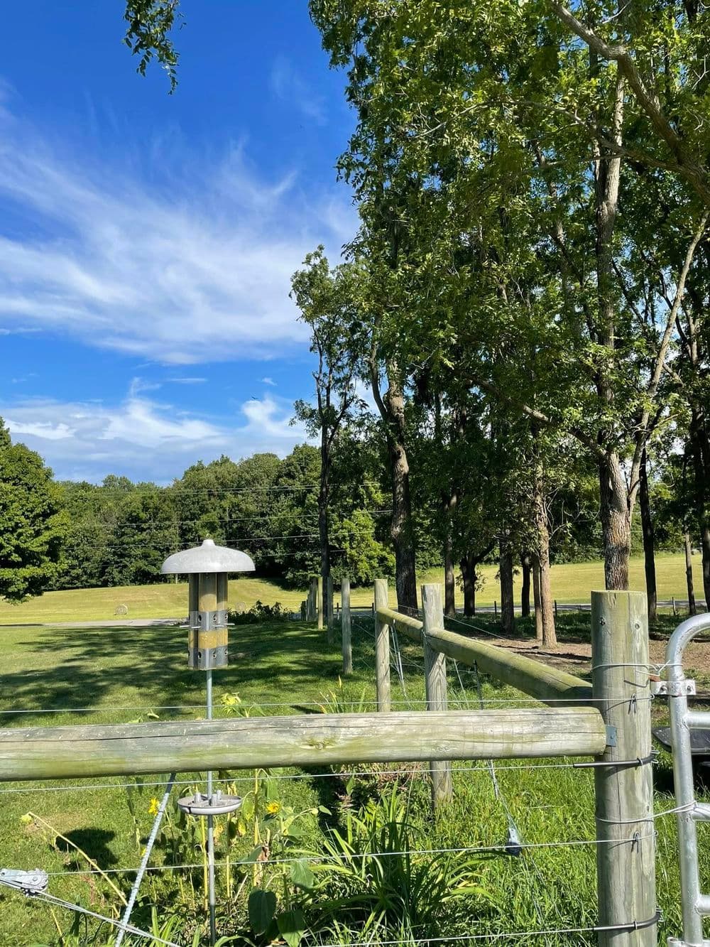 Scenic landscape with wooden fence, lush greenery, trees, and blue sky.