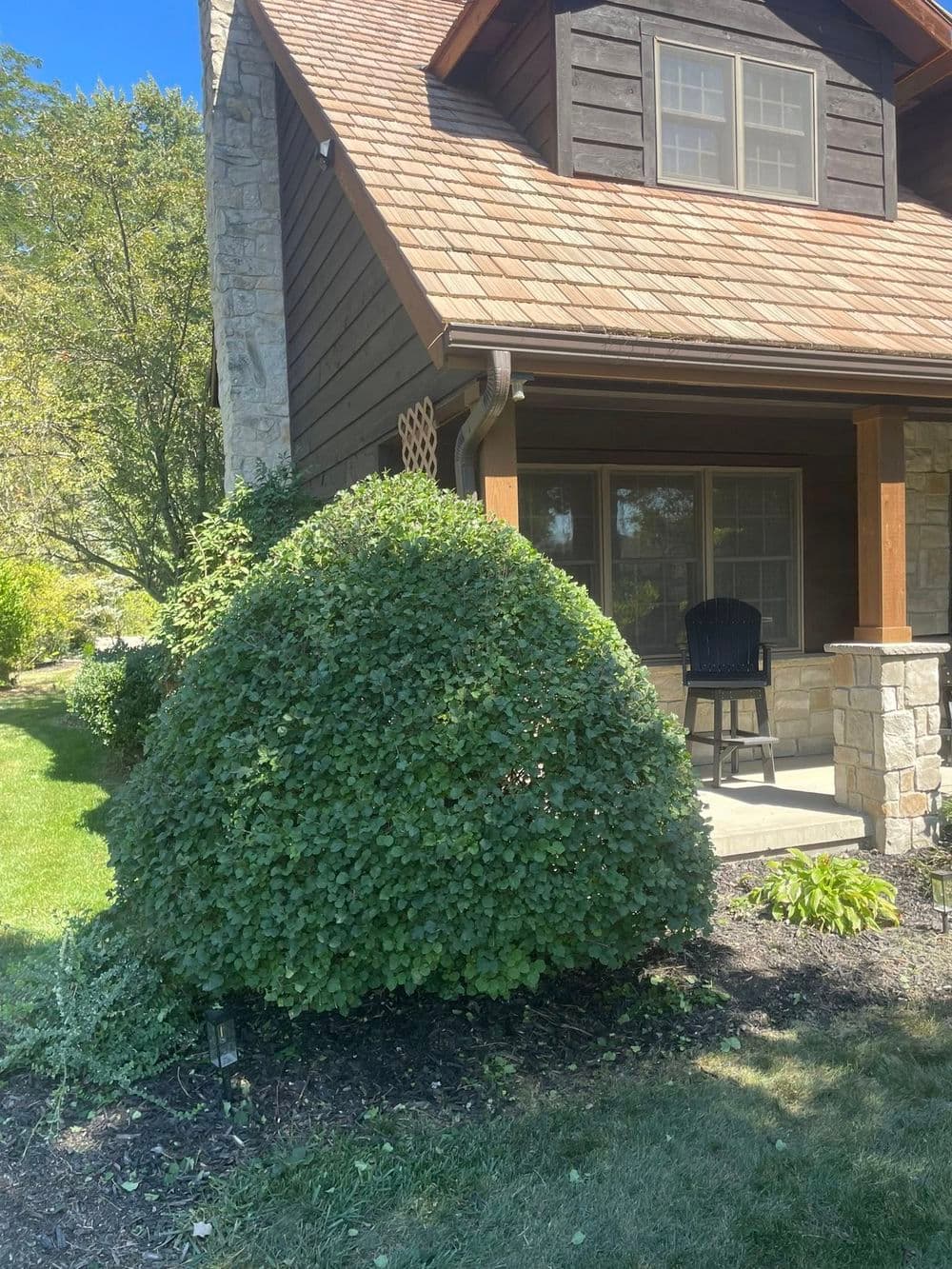 Cozy wooden house with stone accents and a lush bush in front, surrounded by greenery.