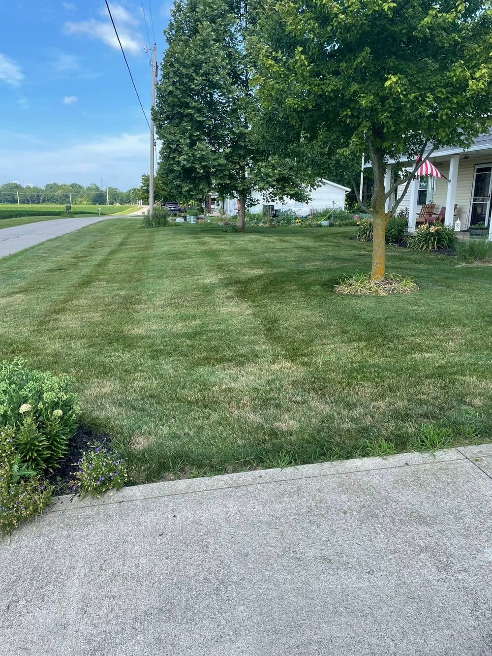 Lush green lawn with neatly trimmed grass, trees, and a nearby house in a residential area.
