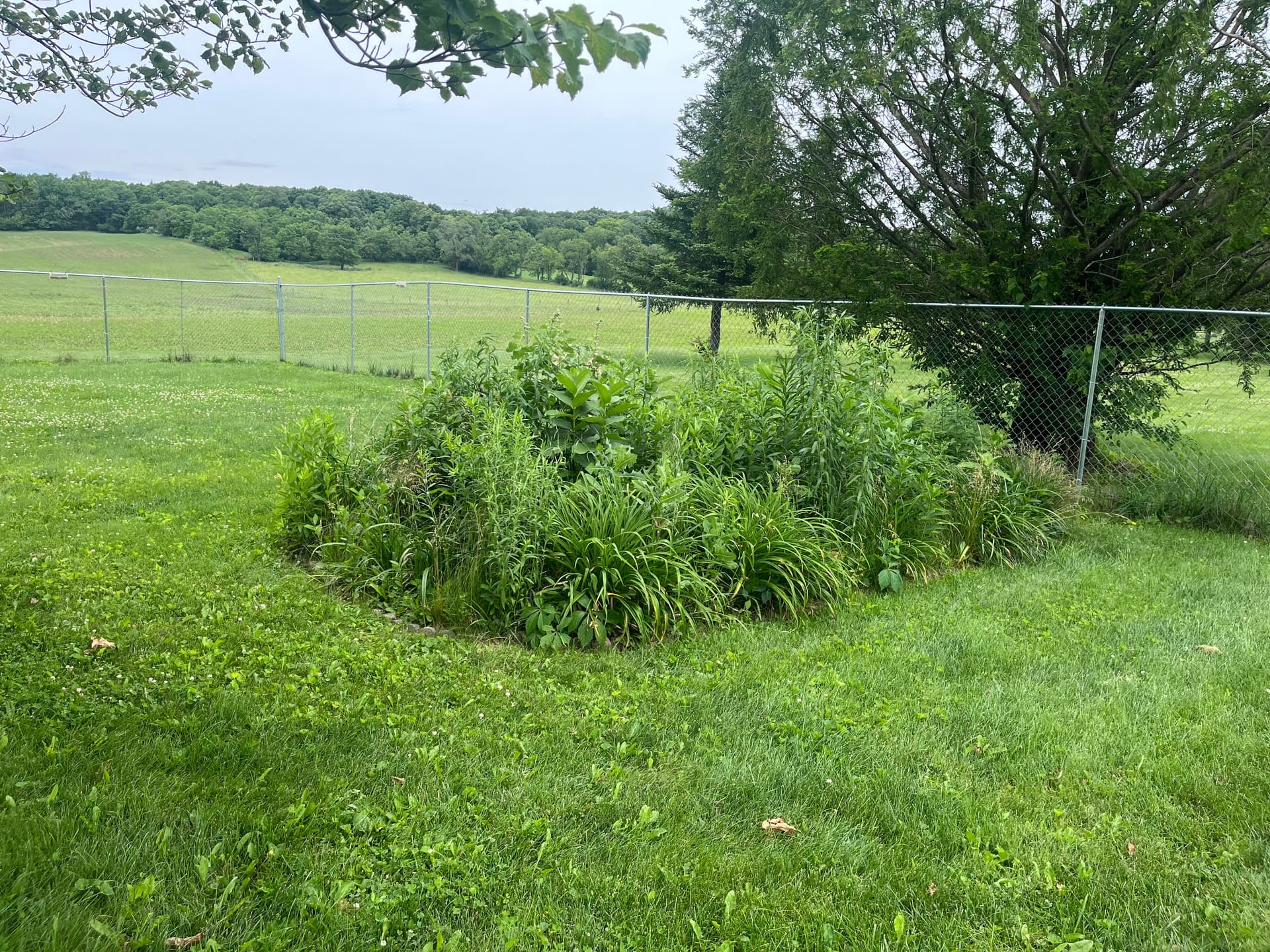 Gallery photos for West Liberty Landscaping Cleanup in Progress: Image #9