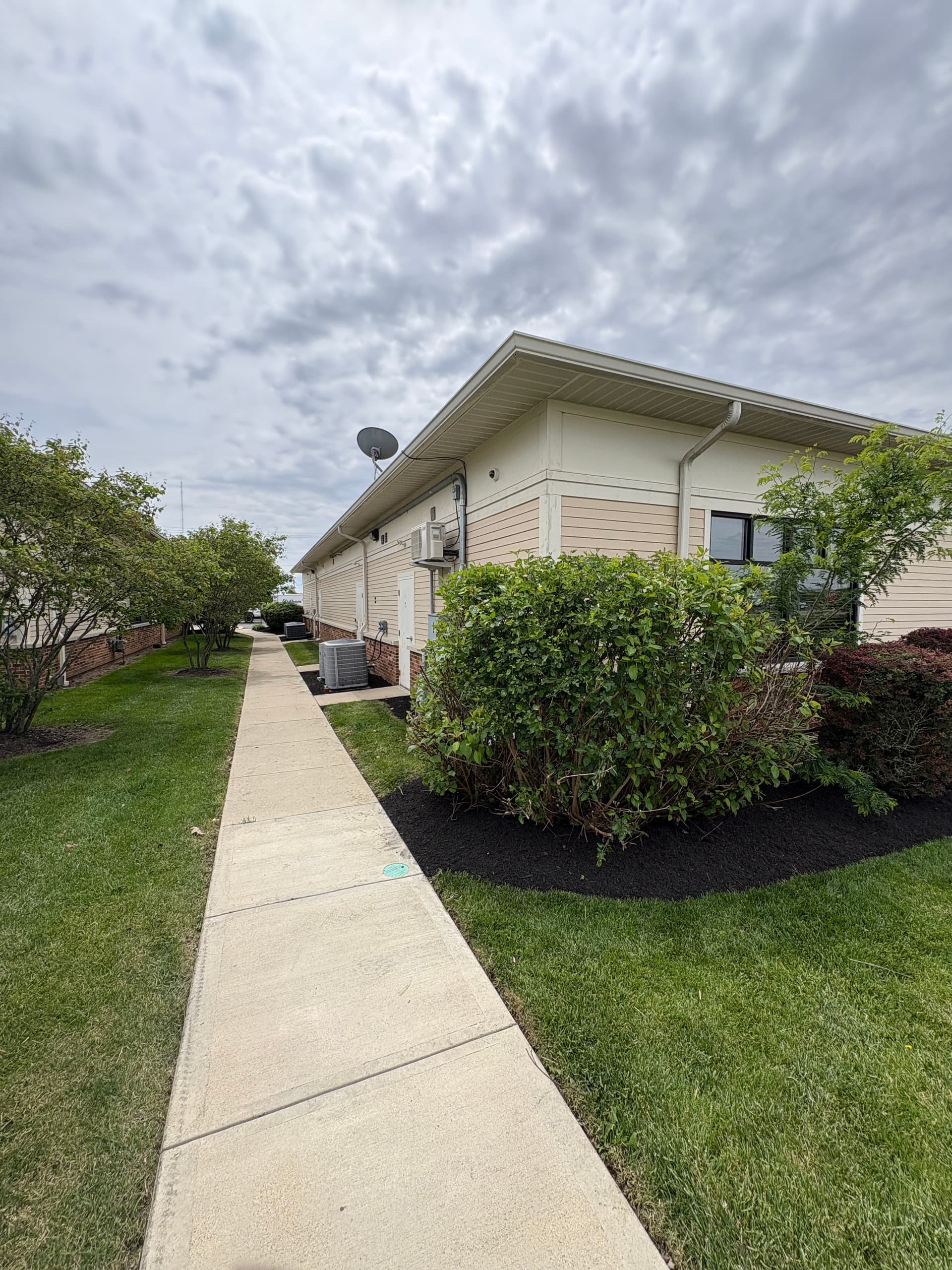 Gallery photos for Full Commercial Landscape Refresh with Fresh Black Mulch: Image #5
