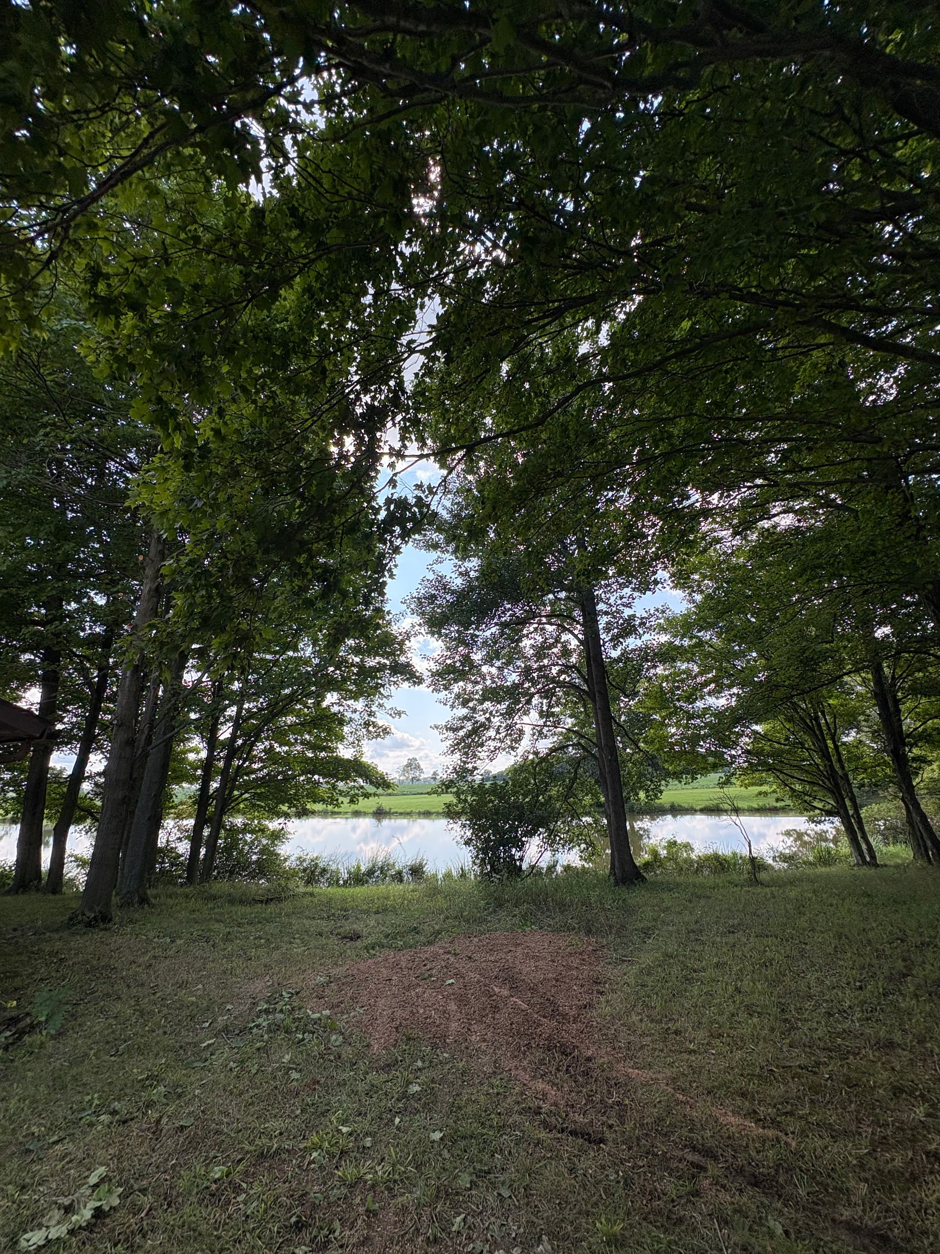 Gallery photos for Storm Damage Tree Cleanup and Dead Limb Removal in Logan and Champaign: Image #4