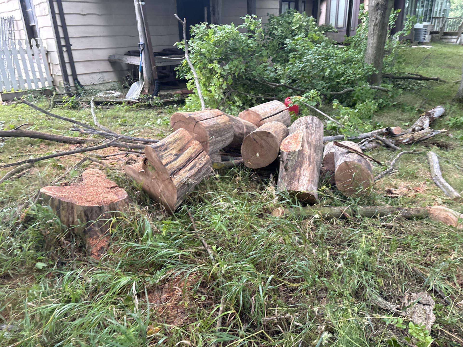 Gallery photos for Storm Damage Tree Cleanup and Dead Limb Removal in Logan and Champaign: Image #3