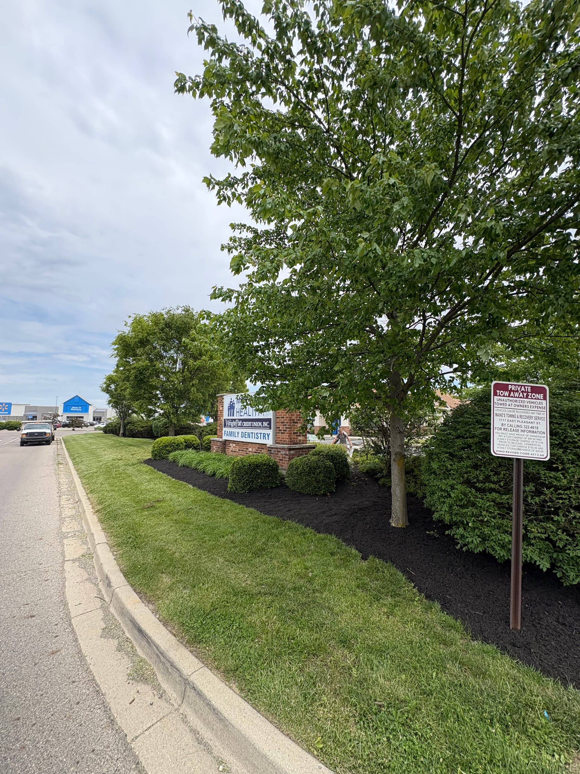 Full Commercial Landscape Refresh with Fresh Black Mulch image