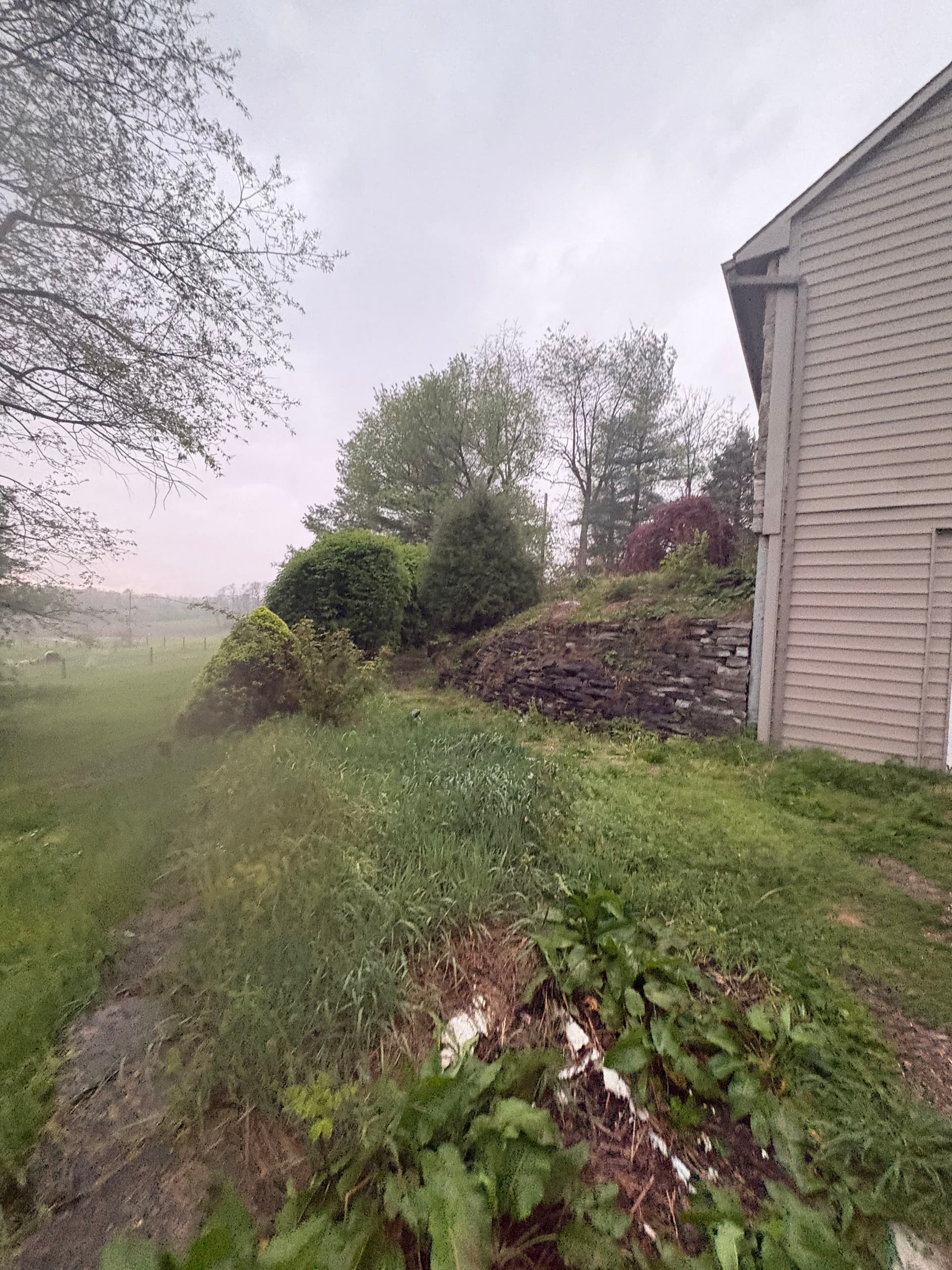 Gallery photos for Curb Appeal Cleanup on a Home Heading to Market: Image #2