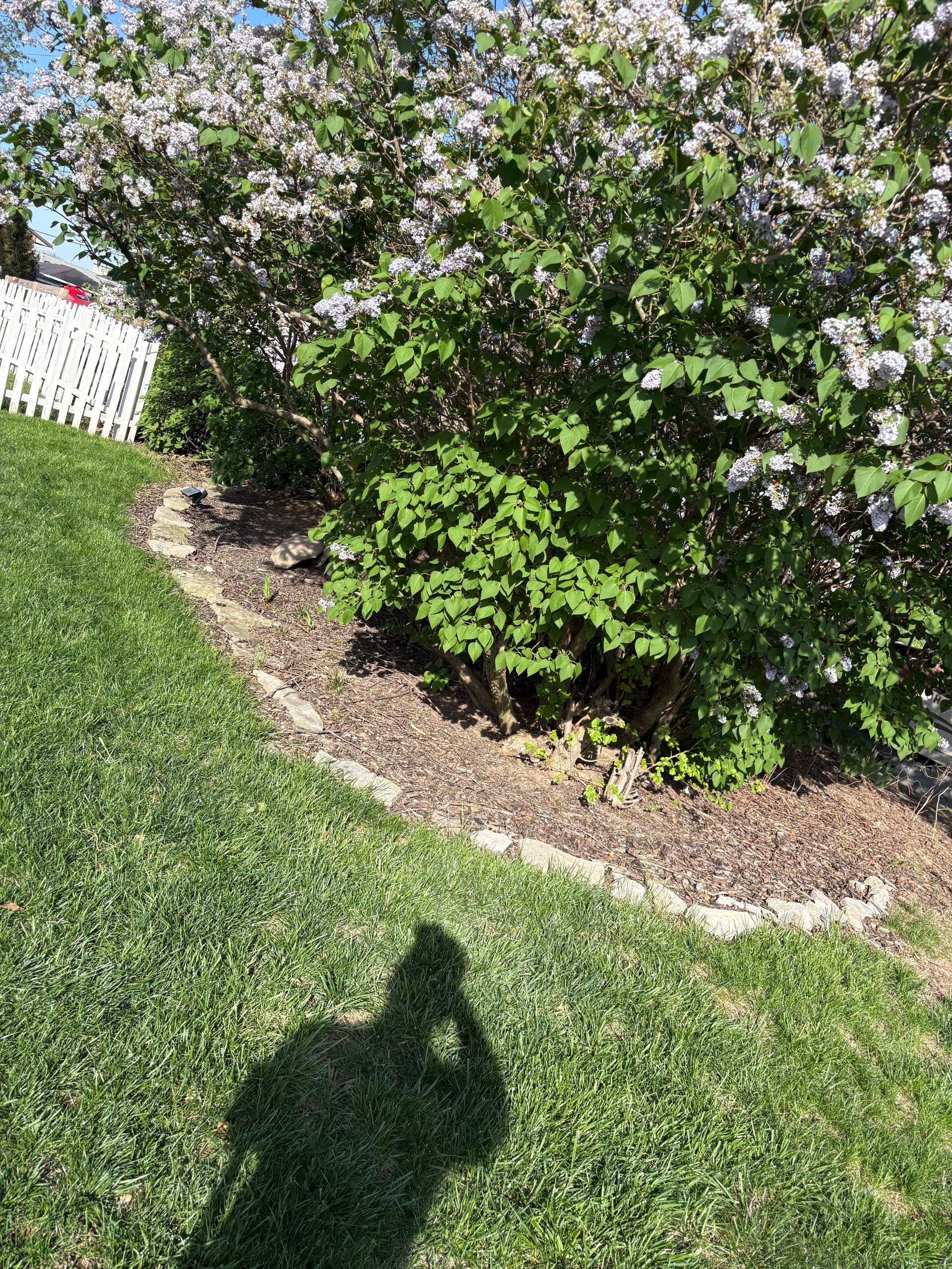 Gallery photos for Lake Property Bed Cleanup Mulch and River Rock Done Right: Image #3
