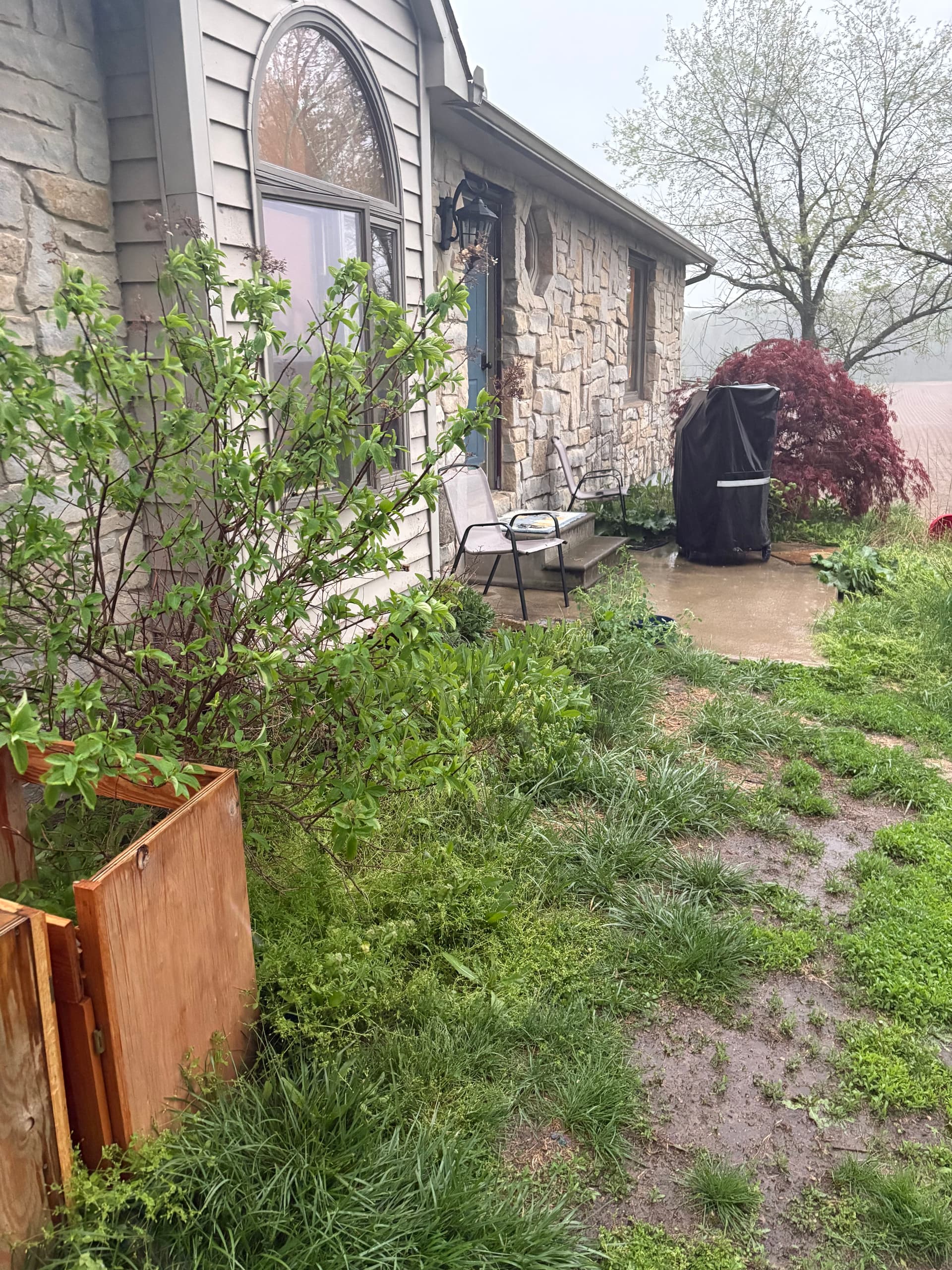 Curb Appeal Cleanup on a Home Heading to Market image