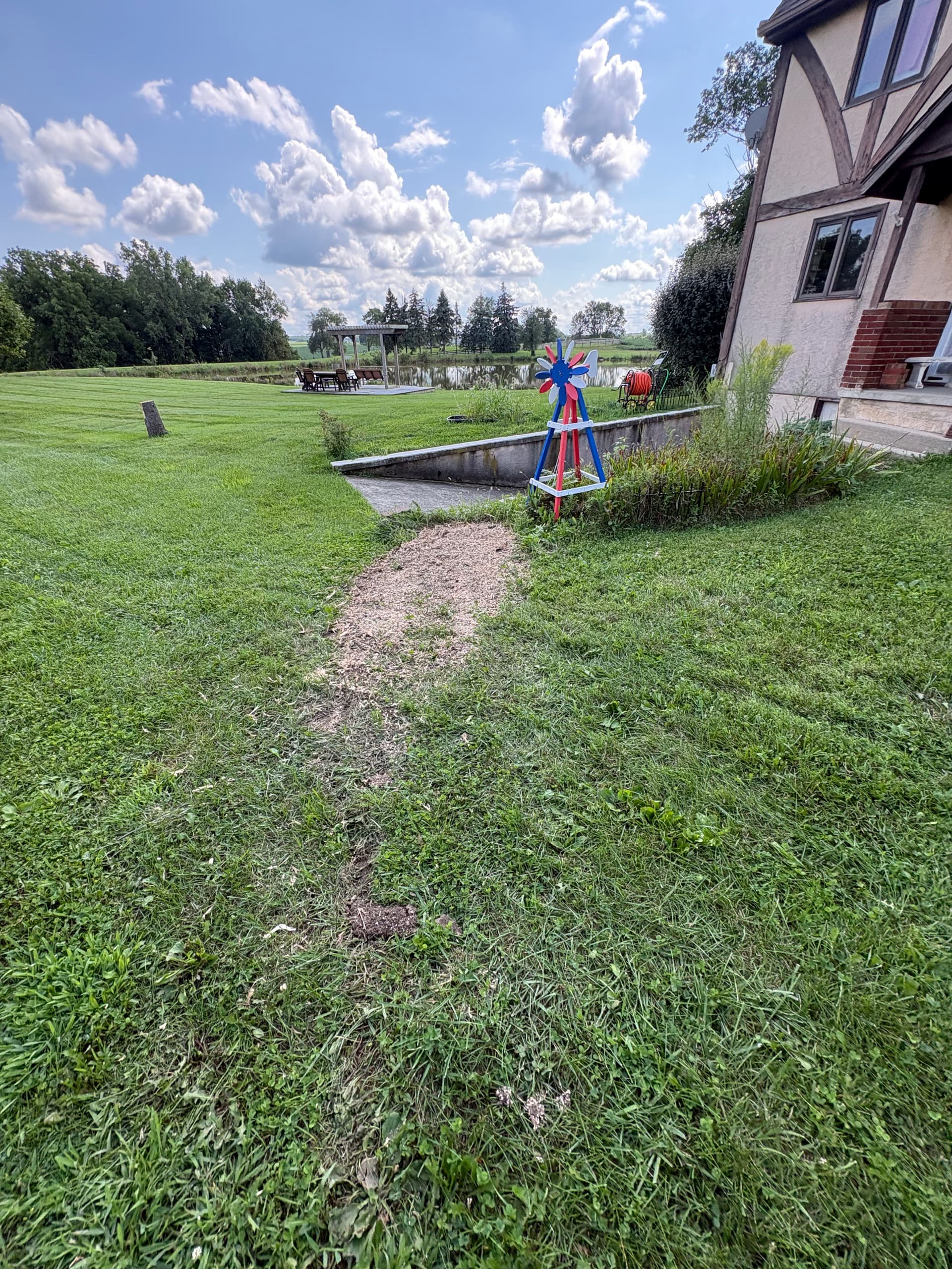Gallery photos for Storm Damage Tree Cleanup and Dead Limb Removal in Logan and Champaign: Image #7