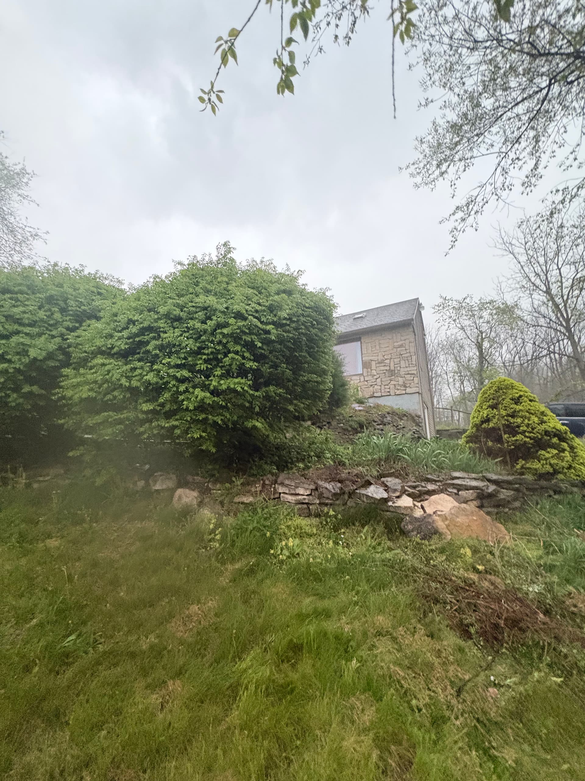 Gallery photos for Curb Appeal Cleanup on a Home Heading to Market: Image #1