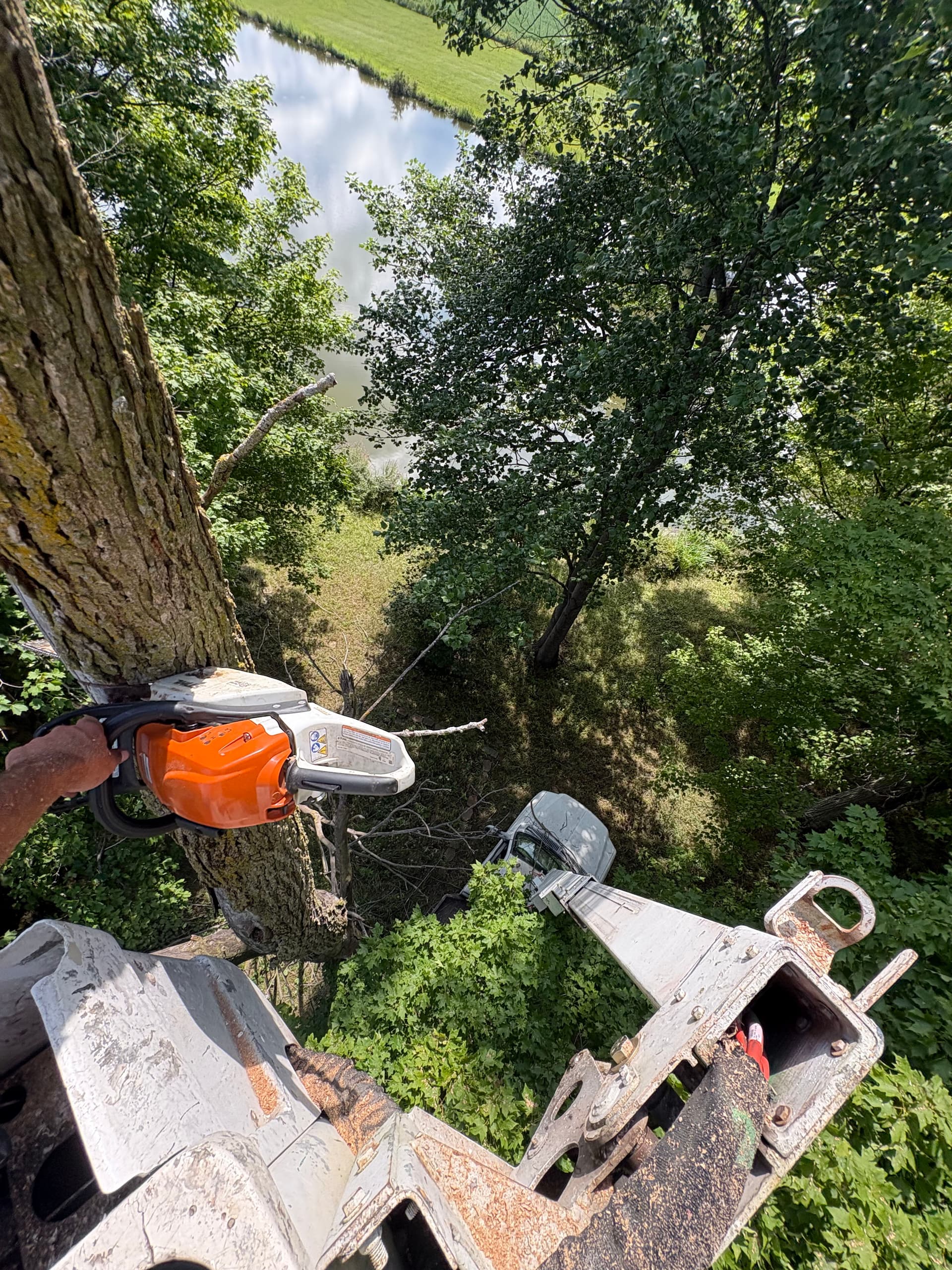 Gallery photos for Storm Damage Tree Cleanup and Dead Limb Removal in Logan and Champaign: Image #2