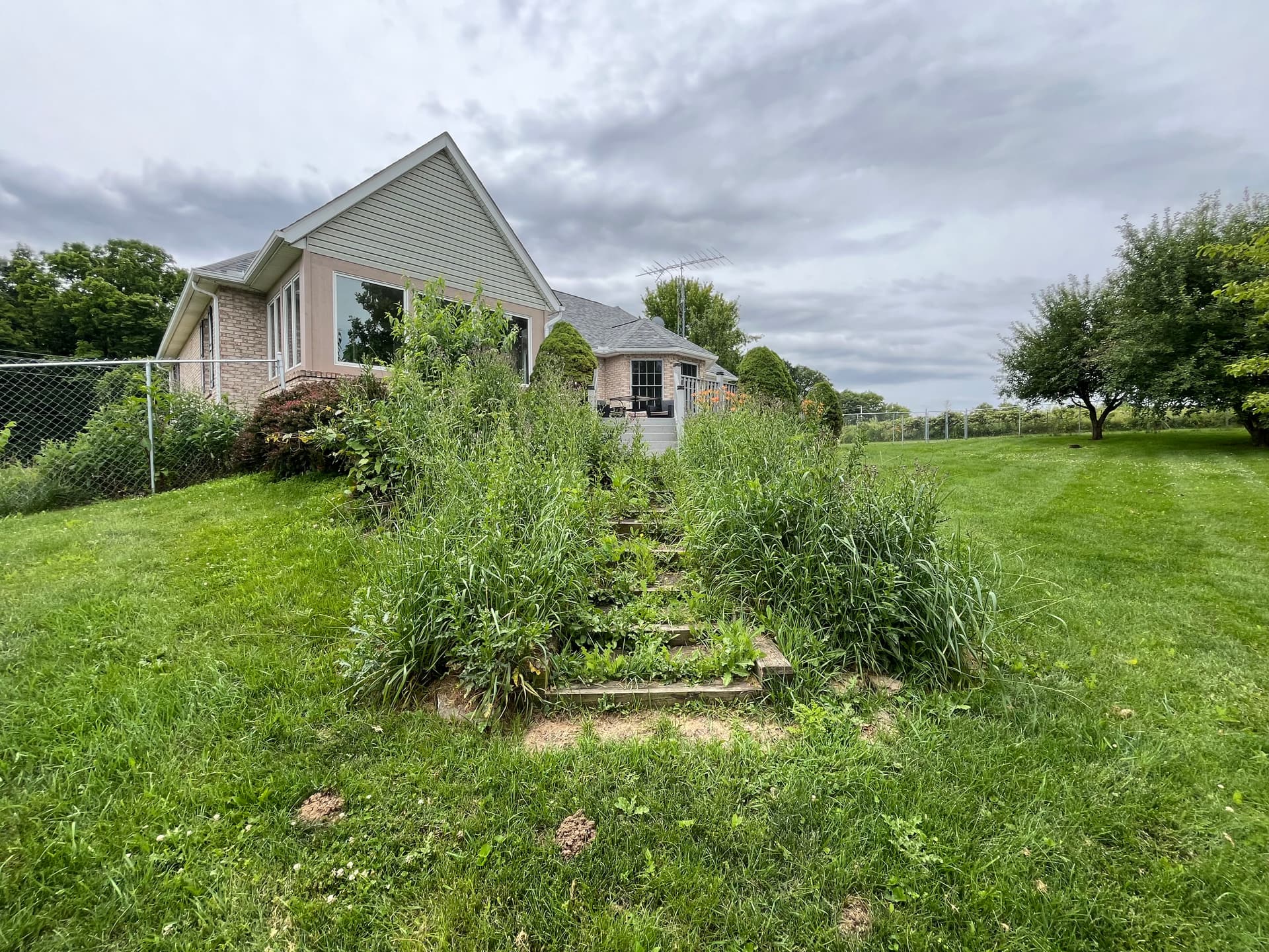 Gallery photos for West Liberty Landscaping Cleanup in Progress: Image #8