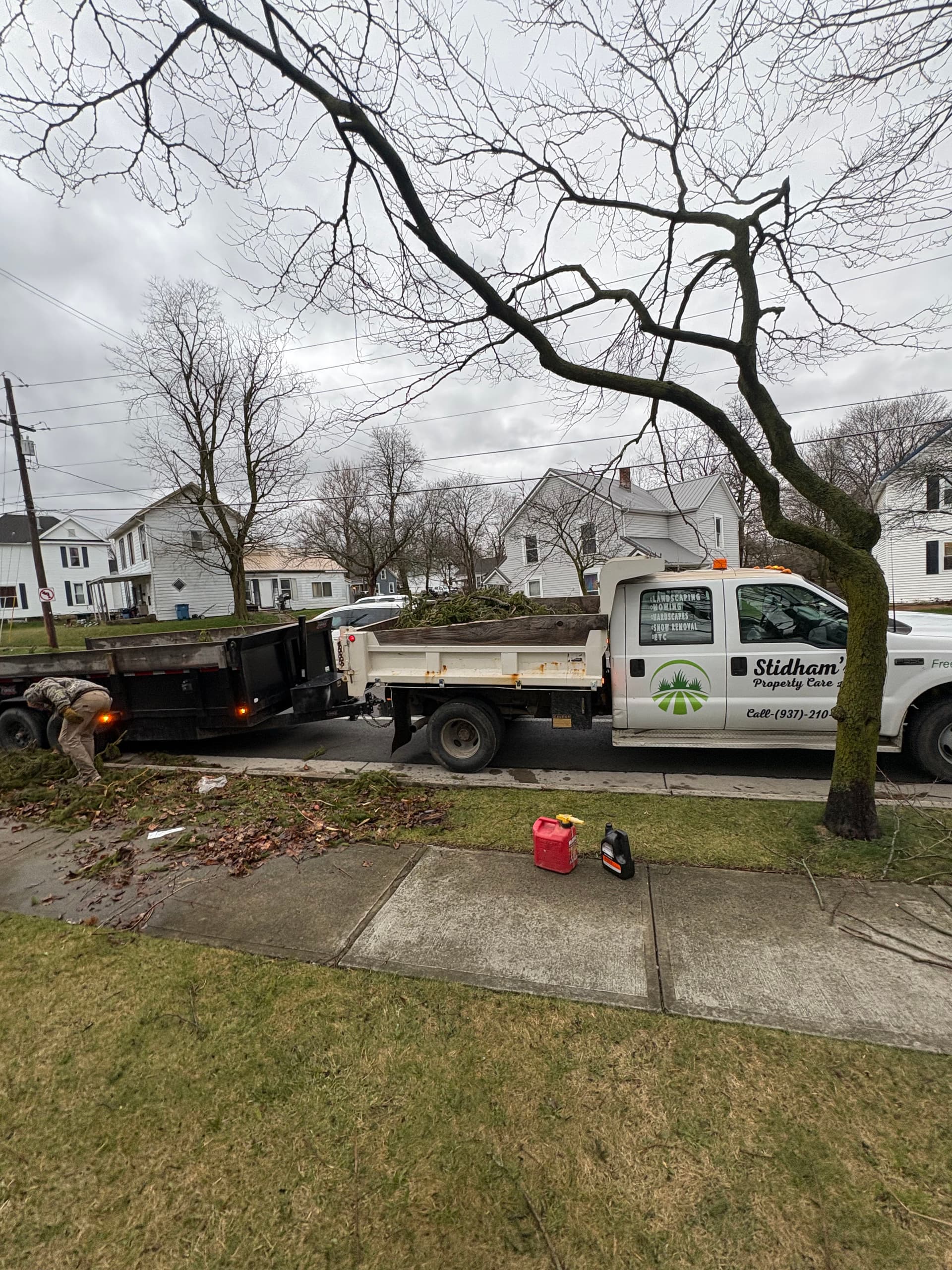 Gallery photos for Swift Fallen Tree Cleanup After Storm: Image #3