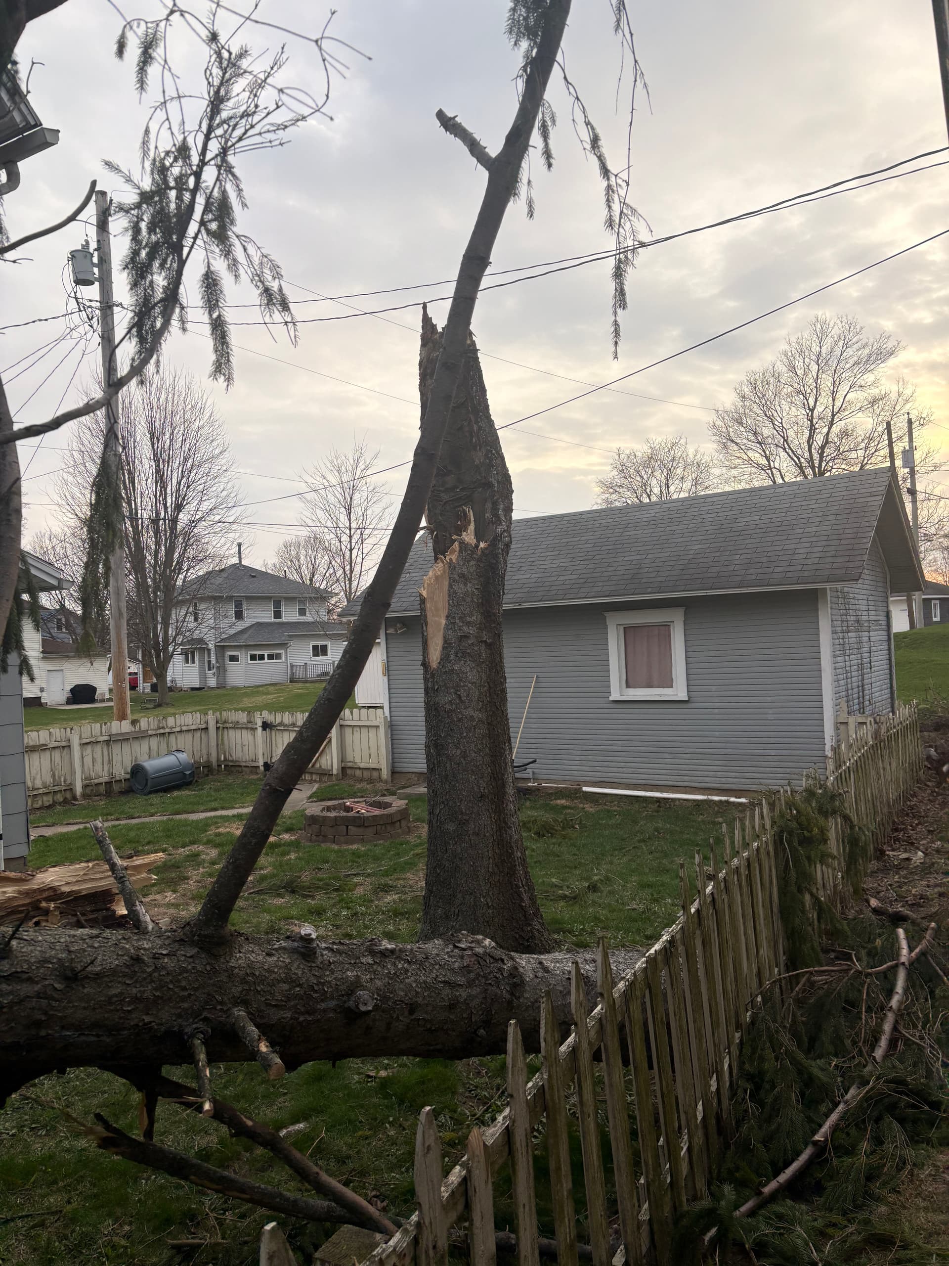 Gallery photos for Swift Fallen Tree Cleanup After Storm: Image #2