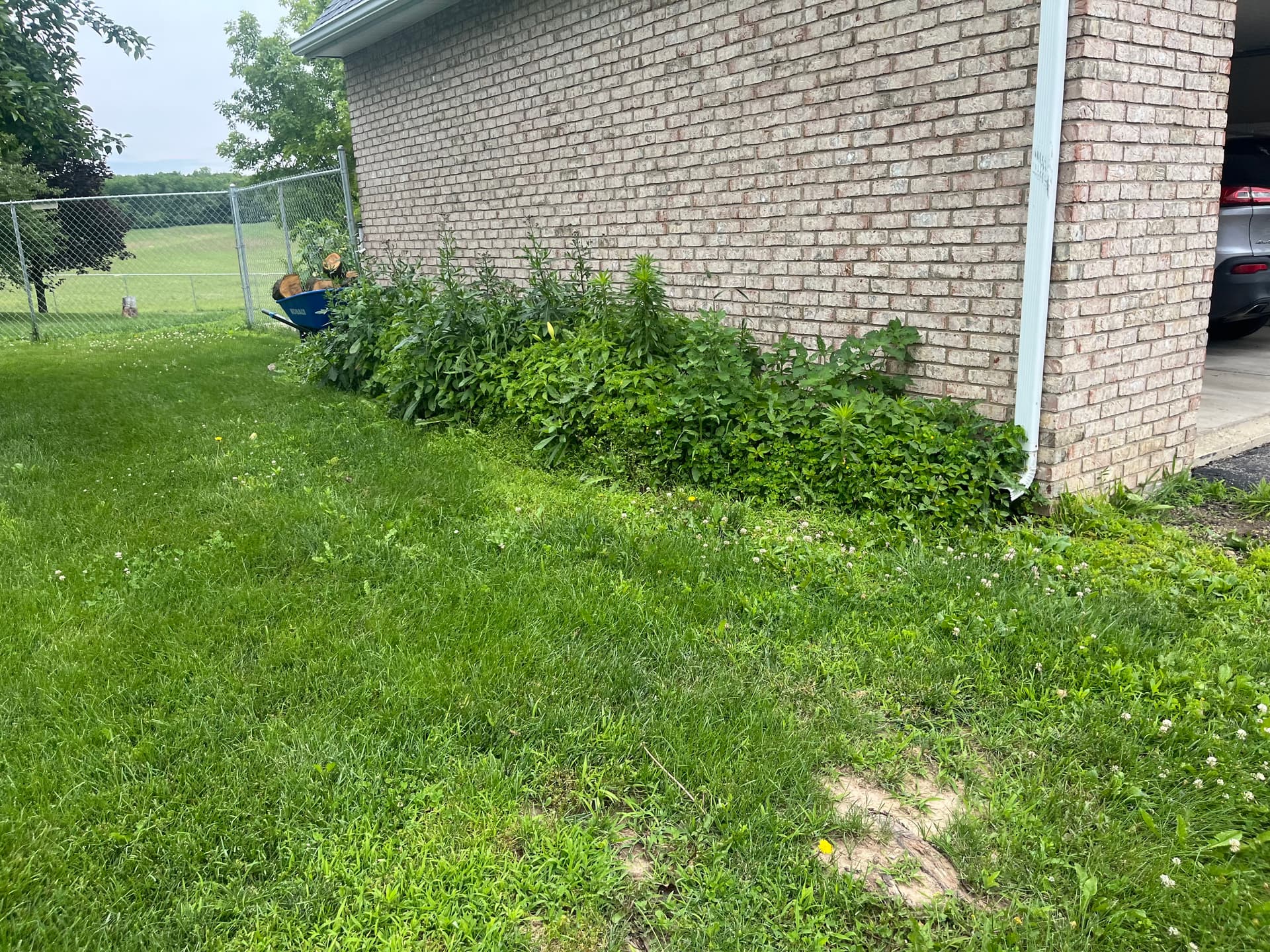 Gallery photos for West Liberty Landscaping Cleanup in Progress: Image #4